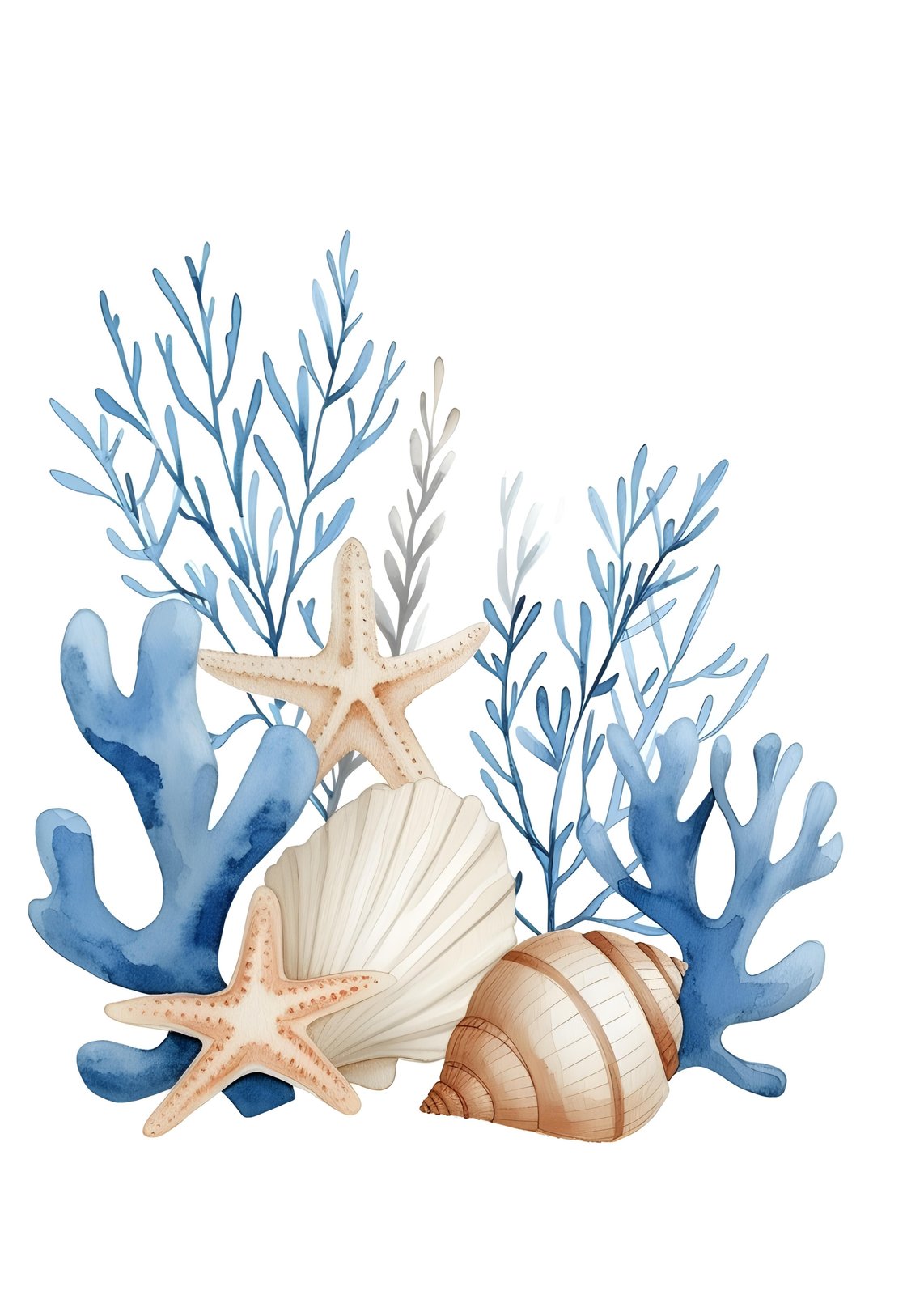 Ocean Serenity Seashell & Coral Wall Art