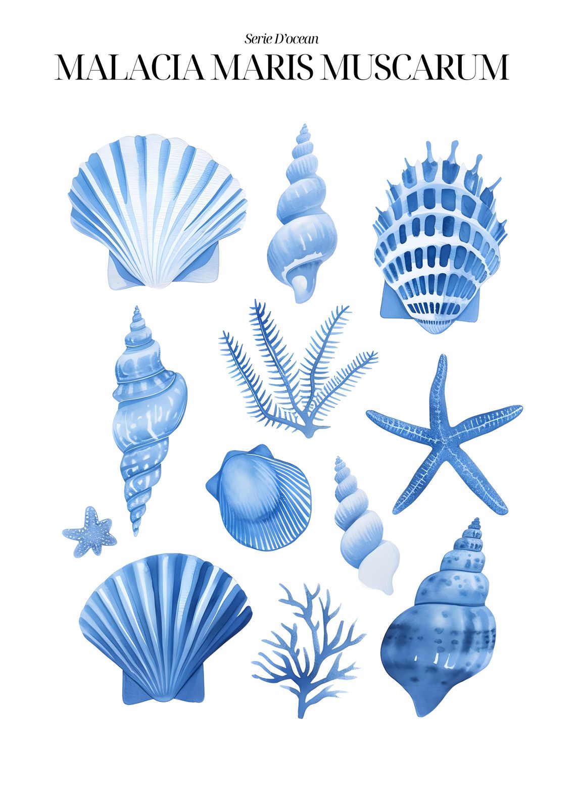 Serene Blue Seashells & Starfish Wall Art