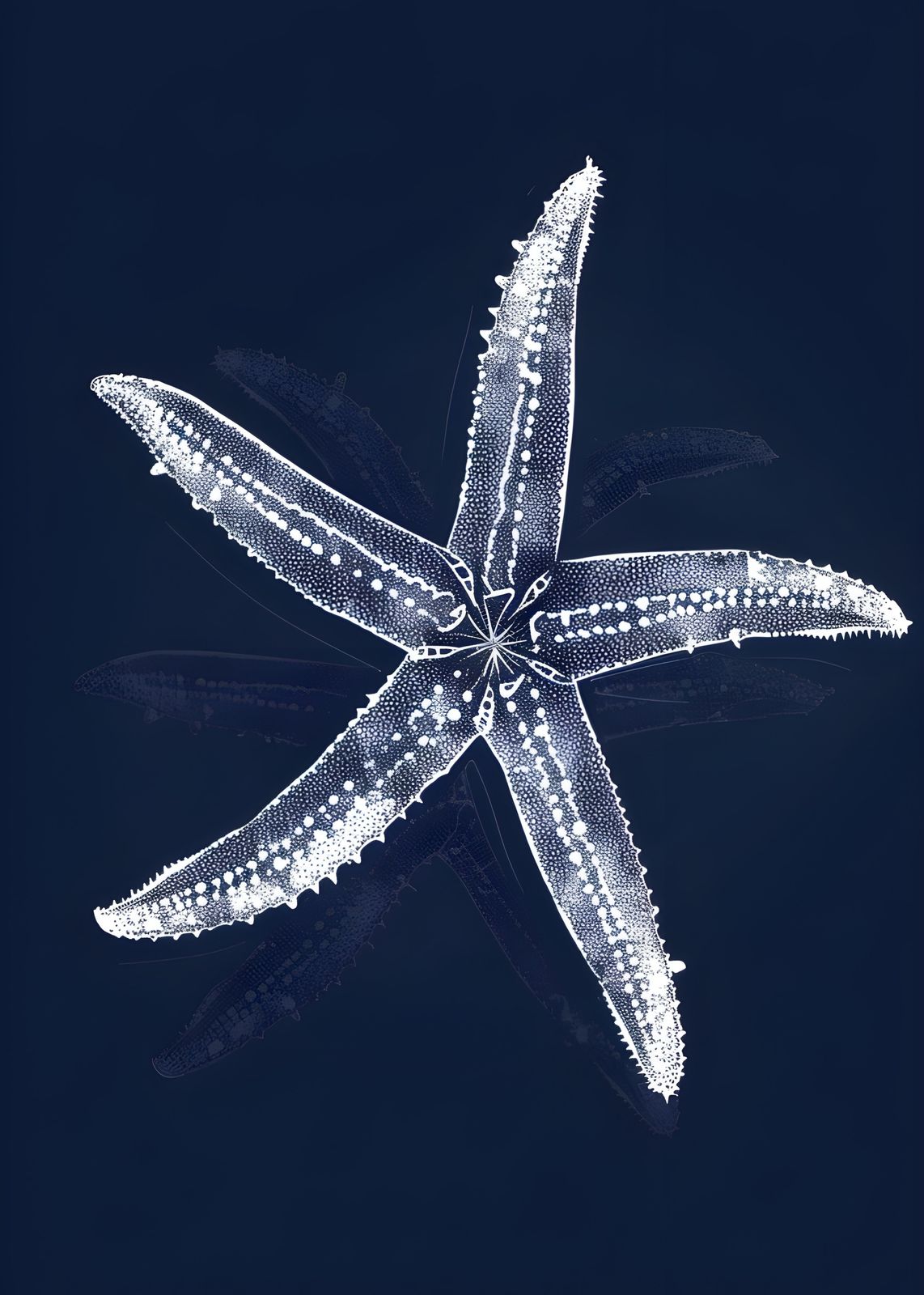 Elegant White Starfish Nautical Wall Art