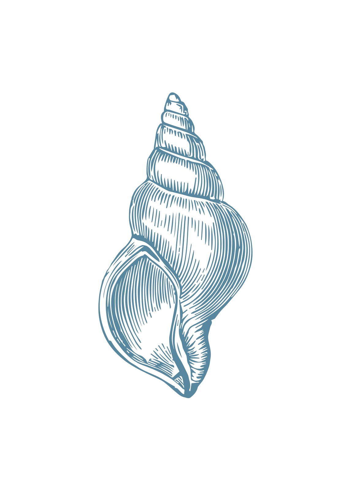 Elegant Seashell Engraving Wall Art