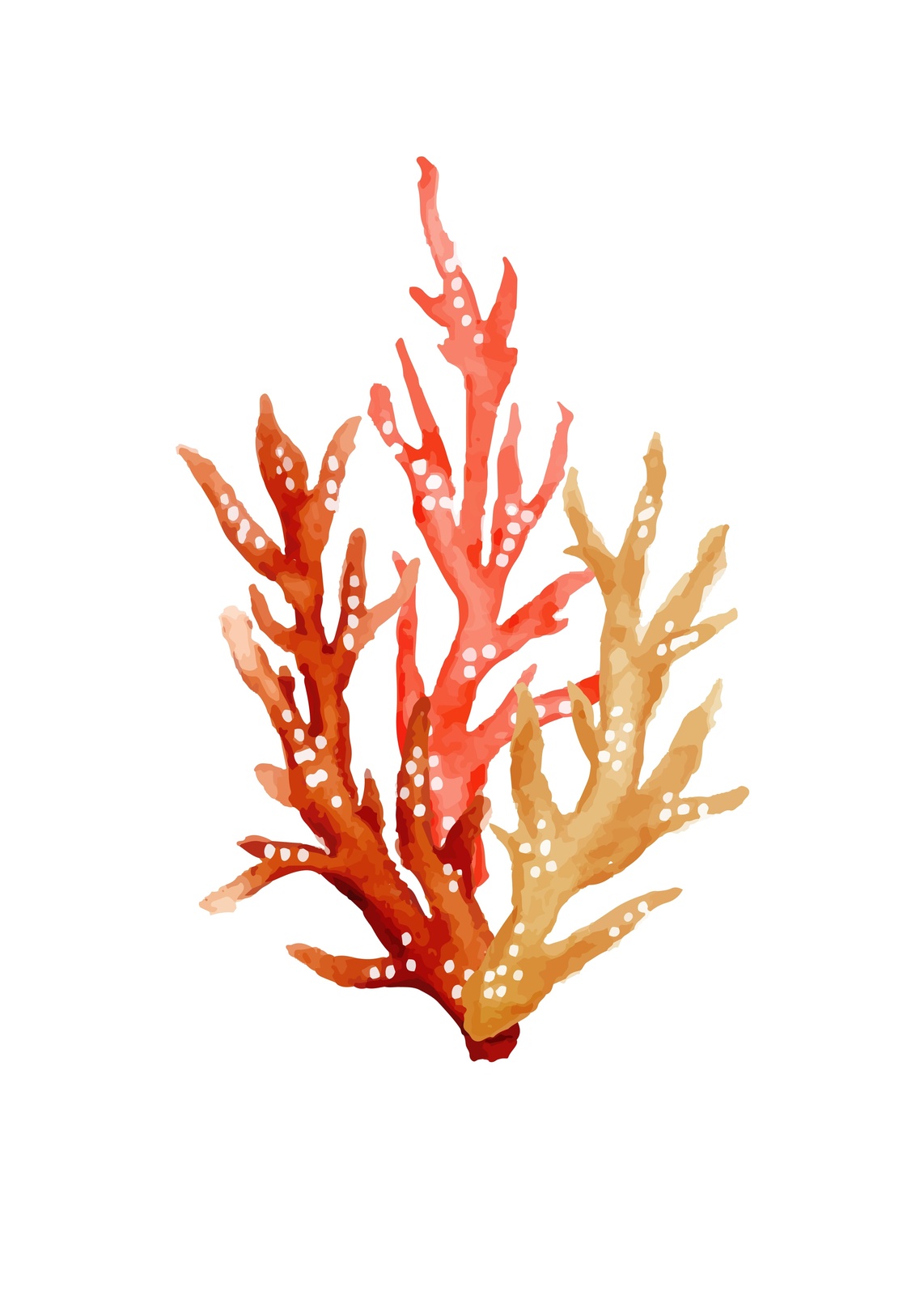 Coastal Coral Dreams Watercolor Wall Art