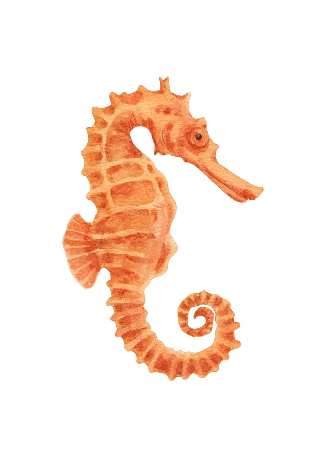 Orange Watercolor Seahorse Wall Art