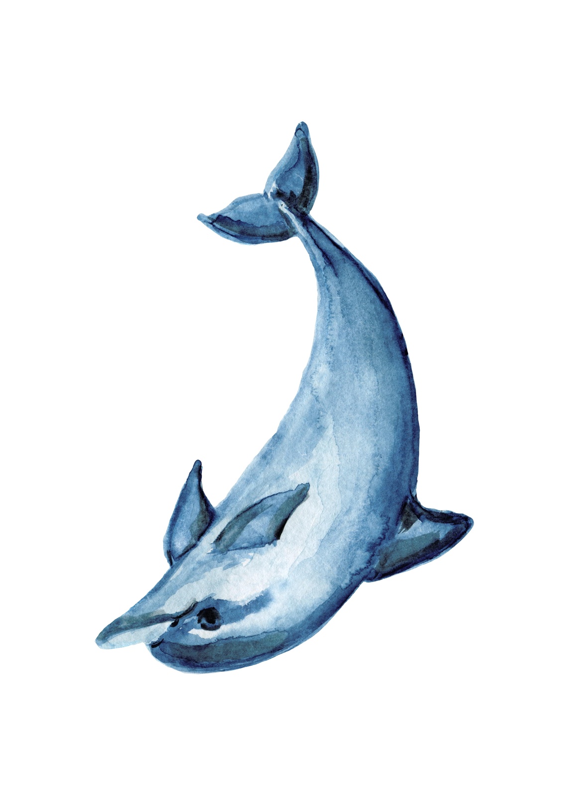 Serene Blue Dolphin Watercolor Wall Art
