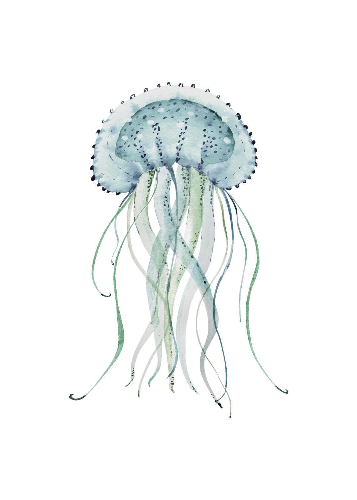 Serene Jellyfish Watercolor Art Wall Art