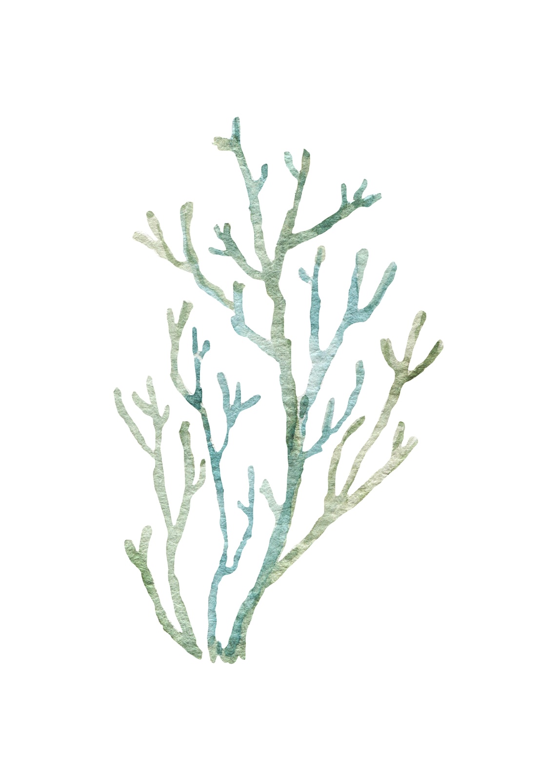 Serene Teal & Sage Coral Branch Wall Art