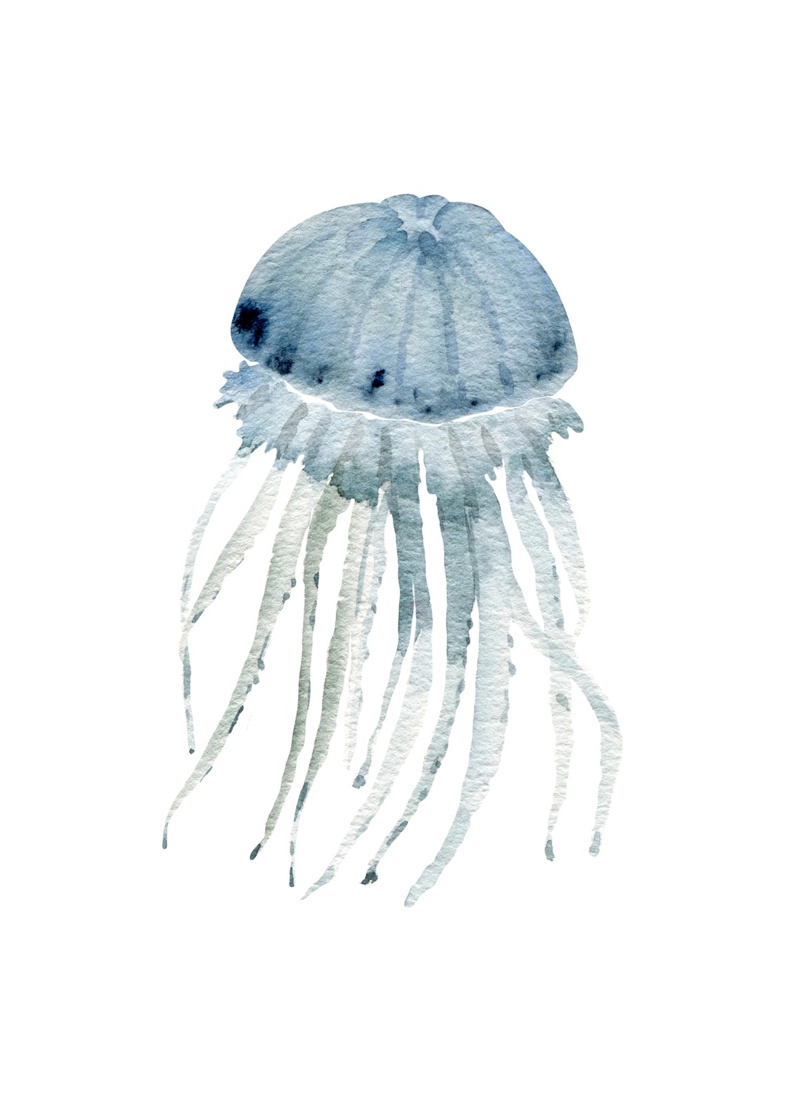 Serene Blue Jellyfish Watercolor Wall Art