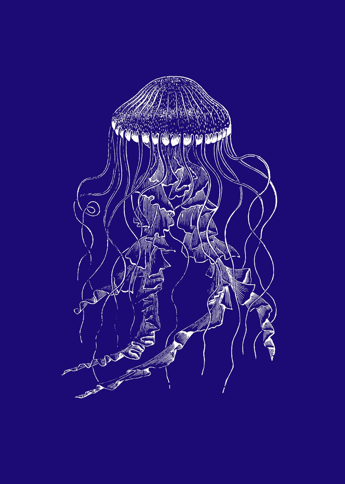 Elegant White Jellyfish Nautical Wall Art