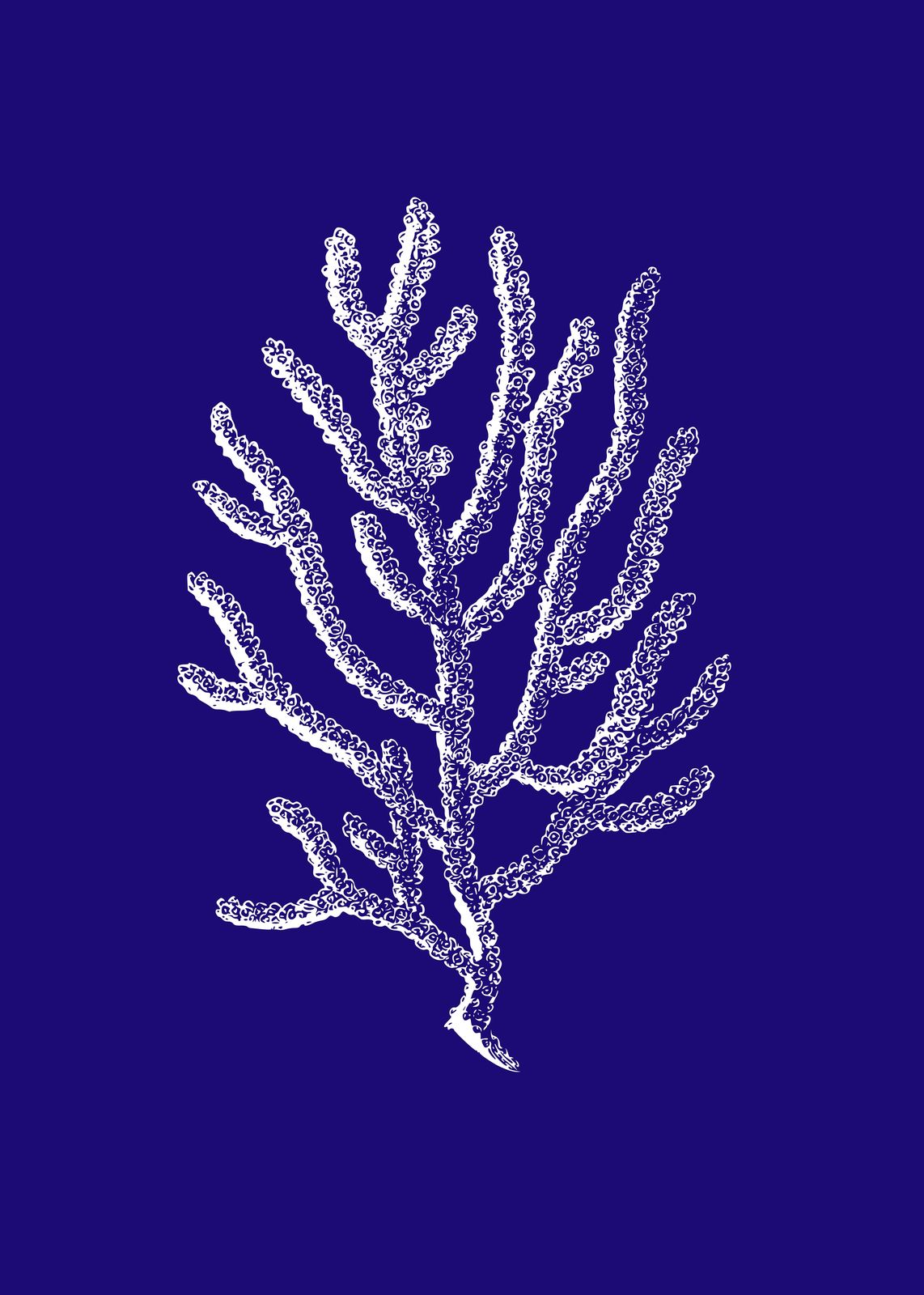 Elegant White Coral on Blue Wall Art