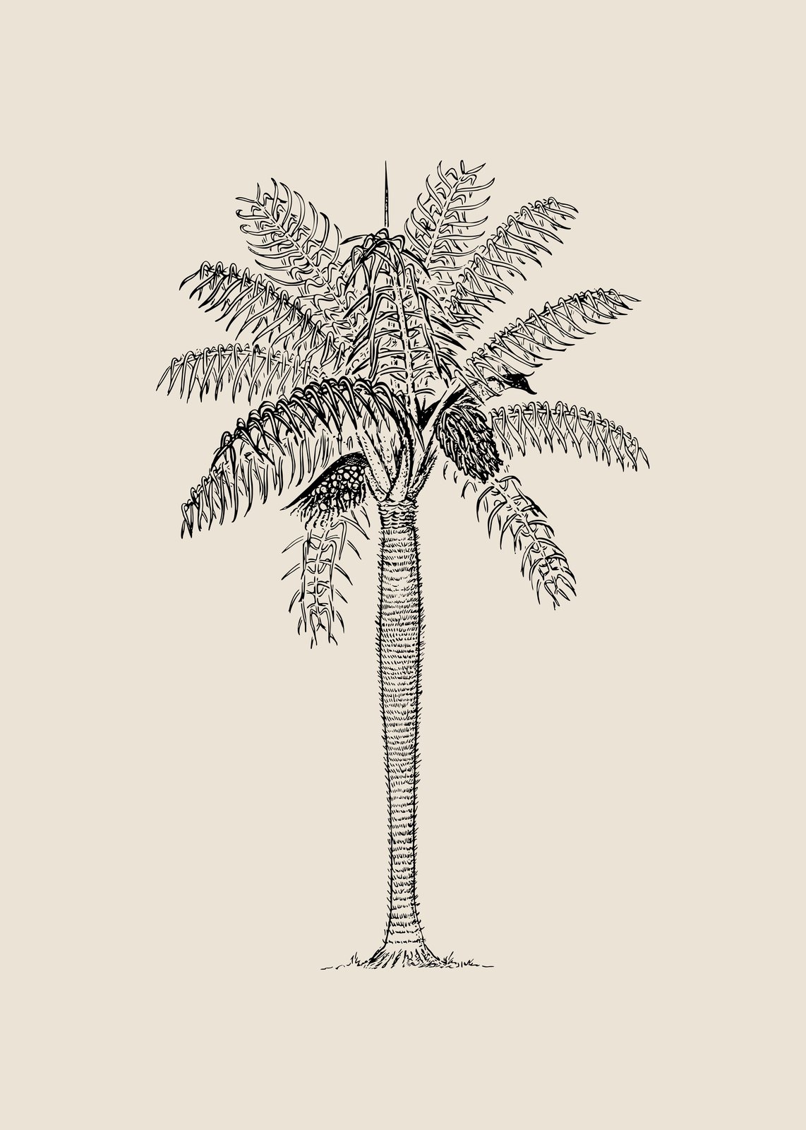 Elegant Palm Tree Sketch Wall Art