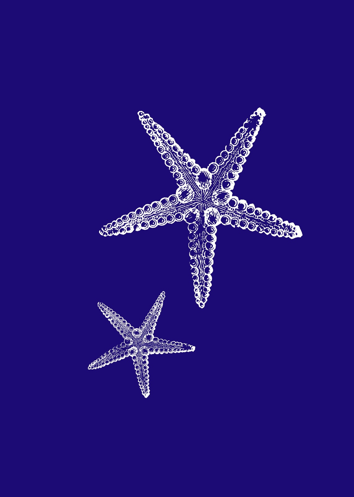 Oceanic Starfish Duo White on Blue Wall Art