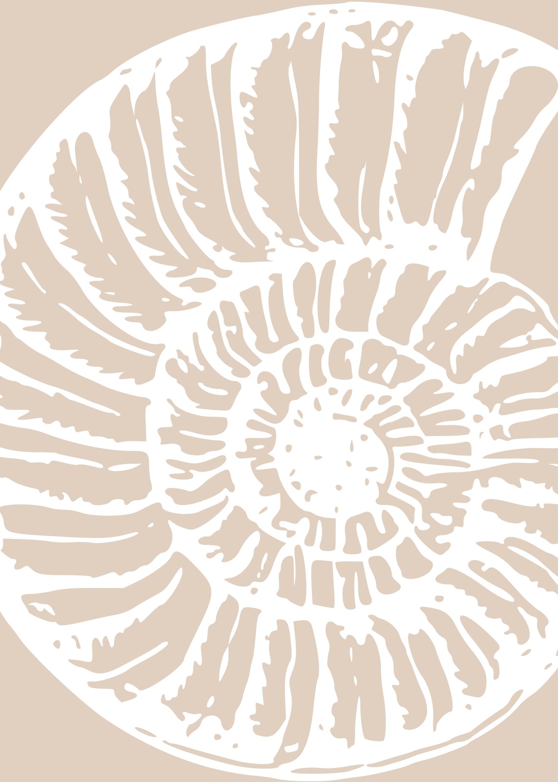 Minimalist Nautilus Shell Art Wall Art