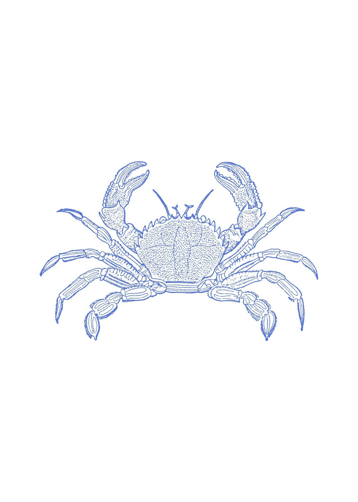Elegant Blue Crab Nautical Art Wall Art