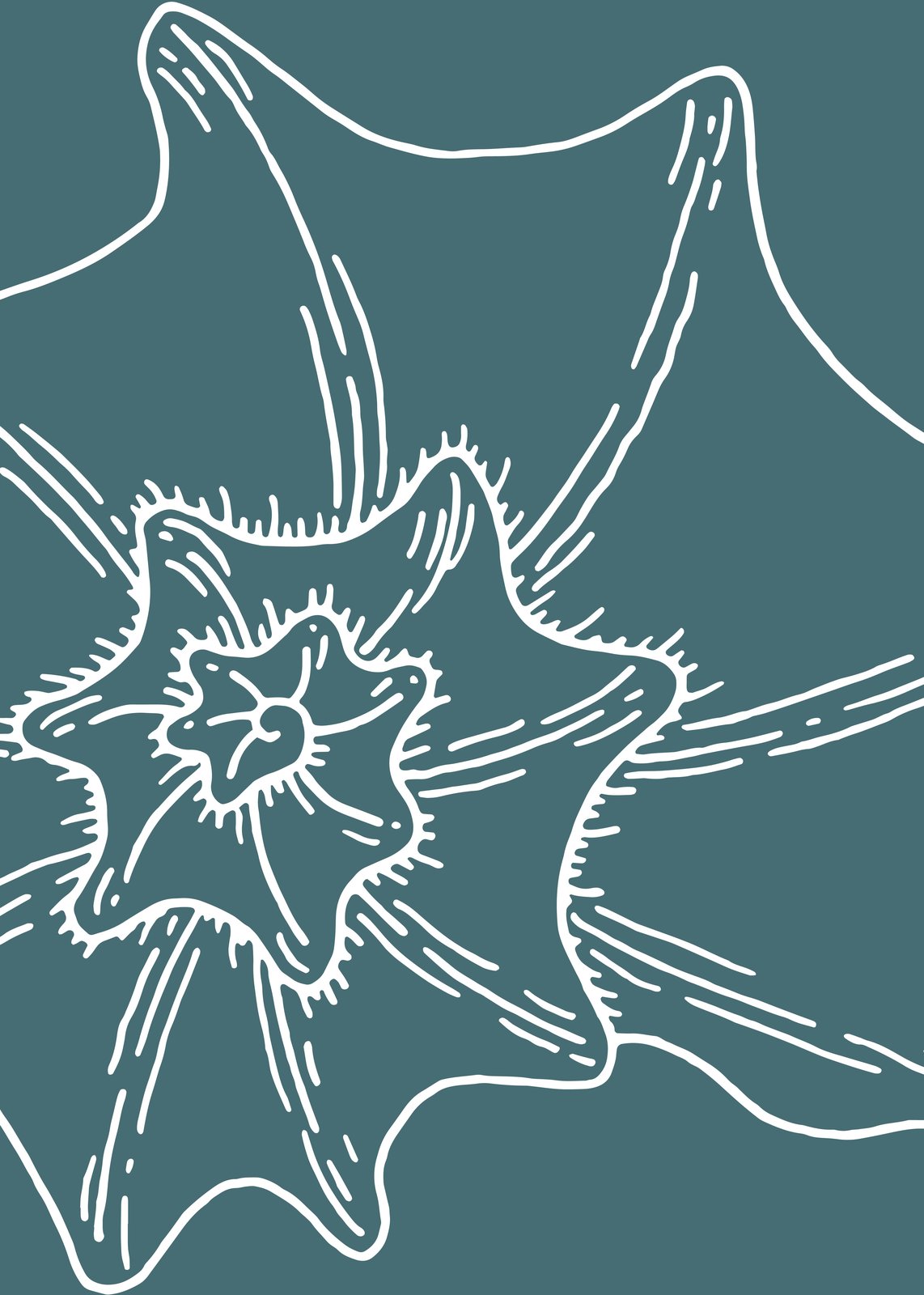 Ocean Spiral Abstract Line Art Wall Art