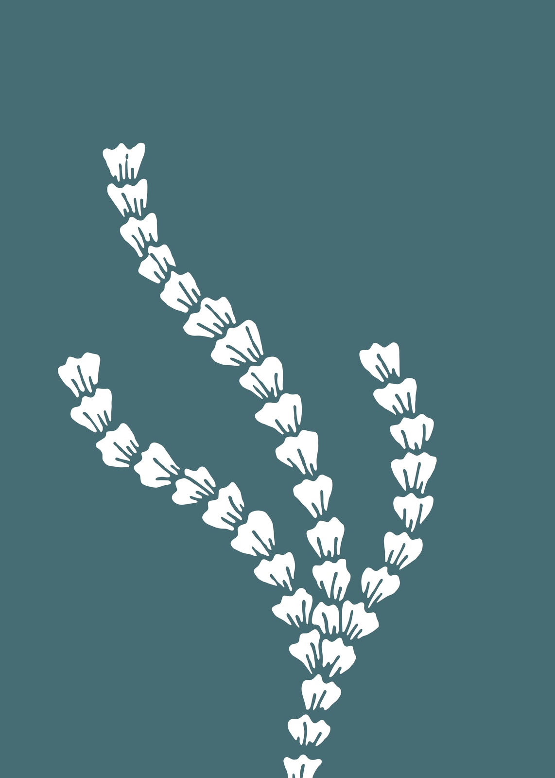 Minimalist White Floral Branches Wall Art