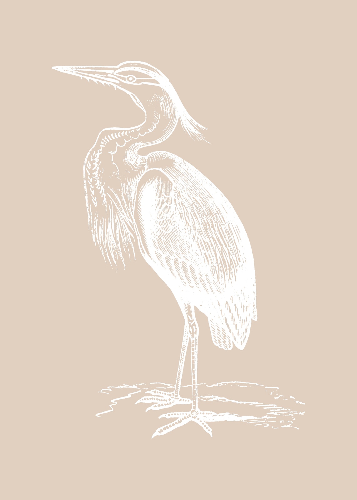 Elegant Heron Vintage Sketch Wall Art