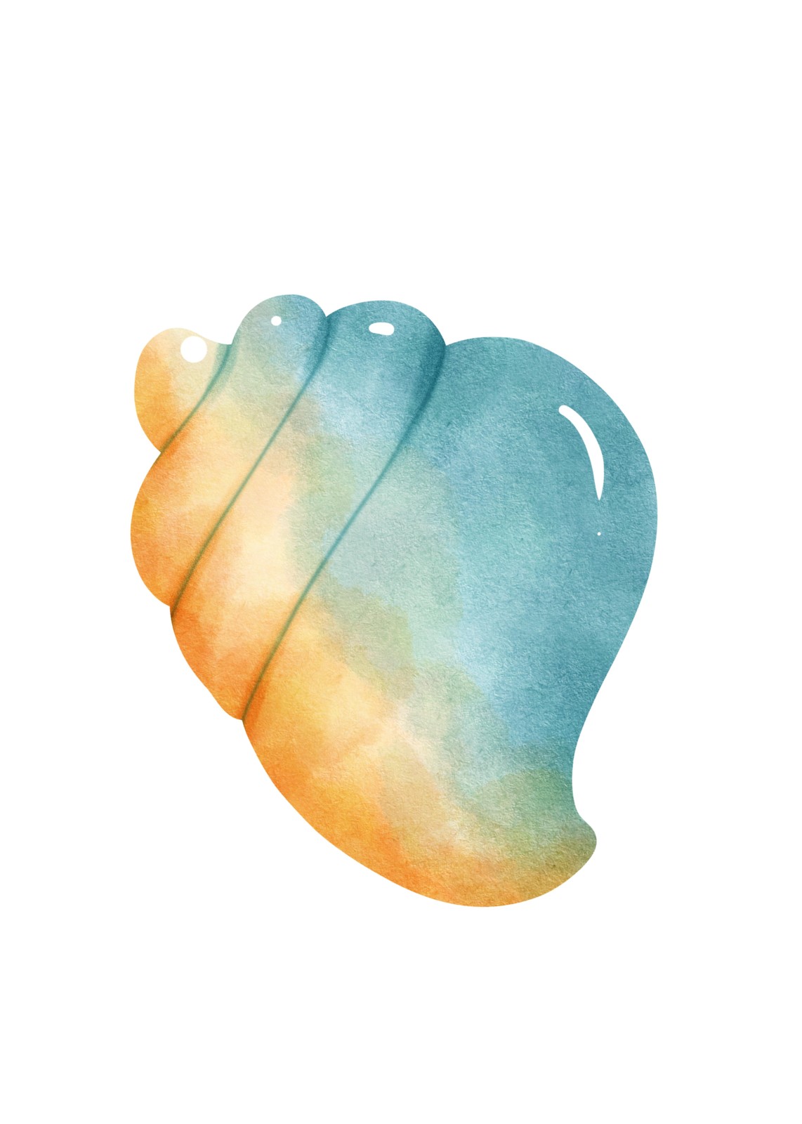 Coastal Seashell Watercolor Beach Art Wall Art