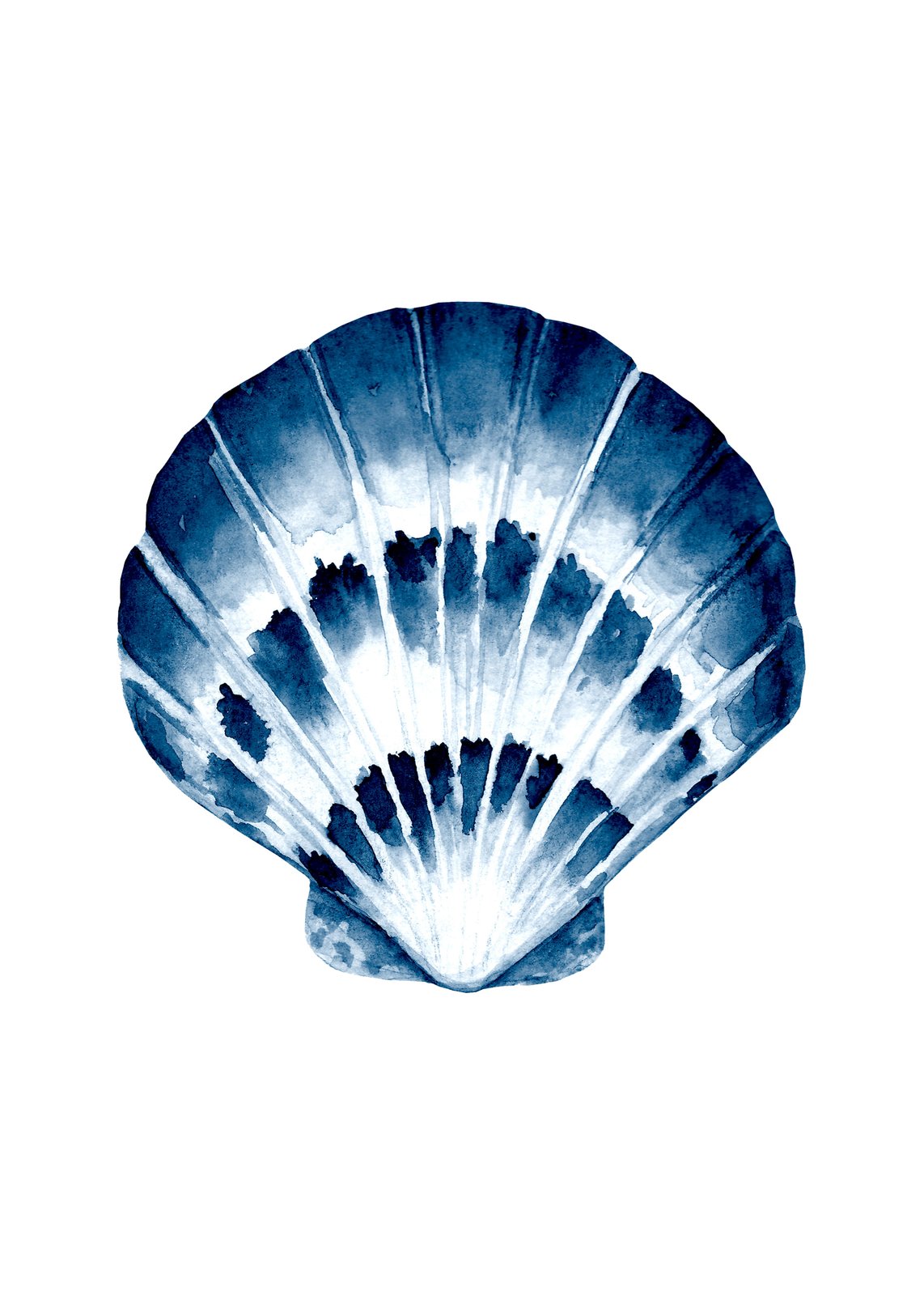 Indigo Scallop Shell Watercolor Wall Art