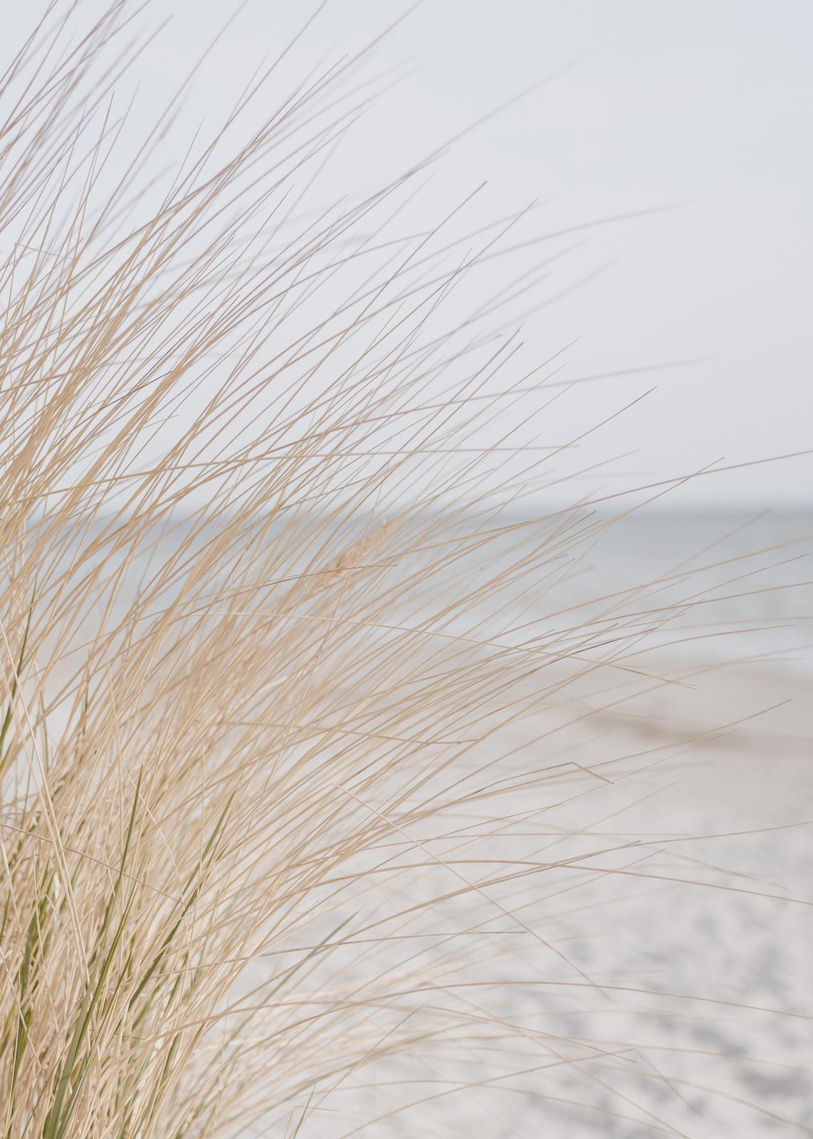 Serene Beach Grass Abstract Wall Art