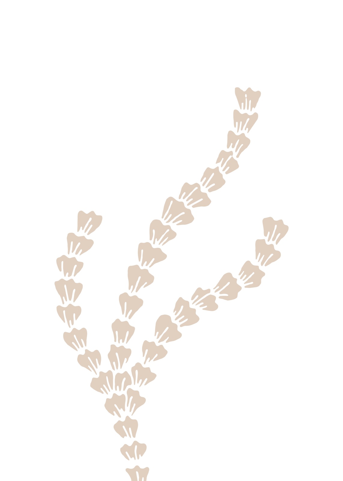 Minimalist Beige Abstract Plant Wall Art
