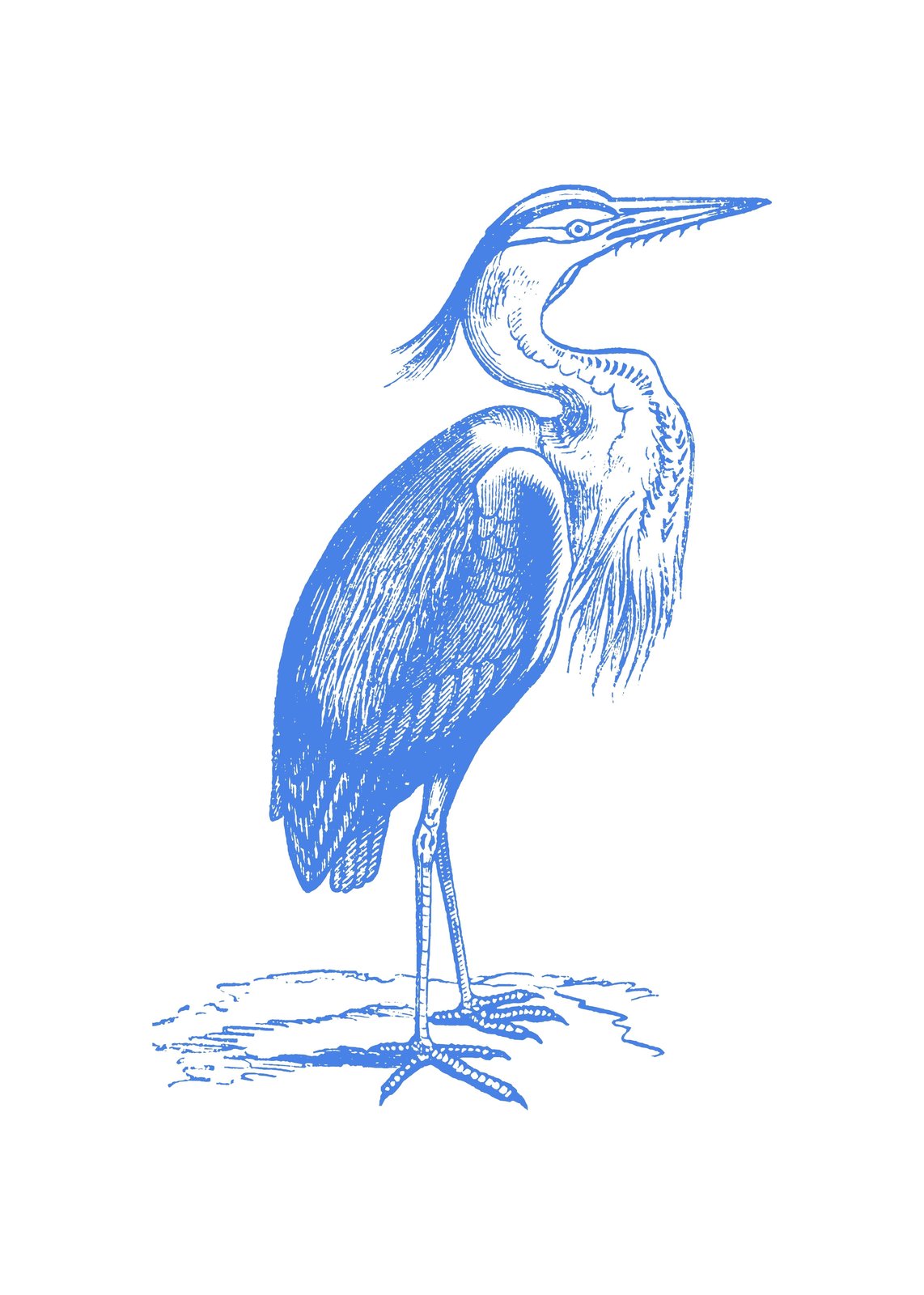 Elegant Blue Heron Vintage Style Wall Art