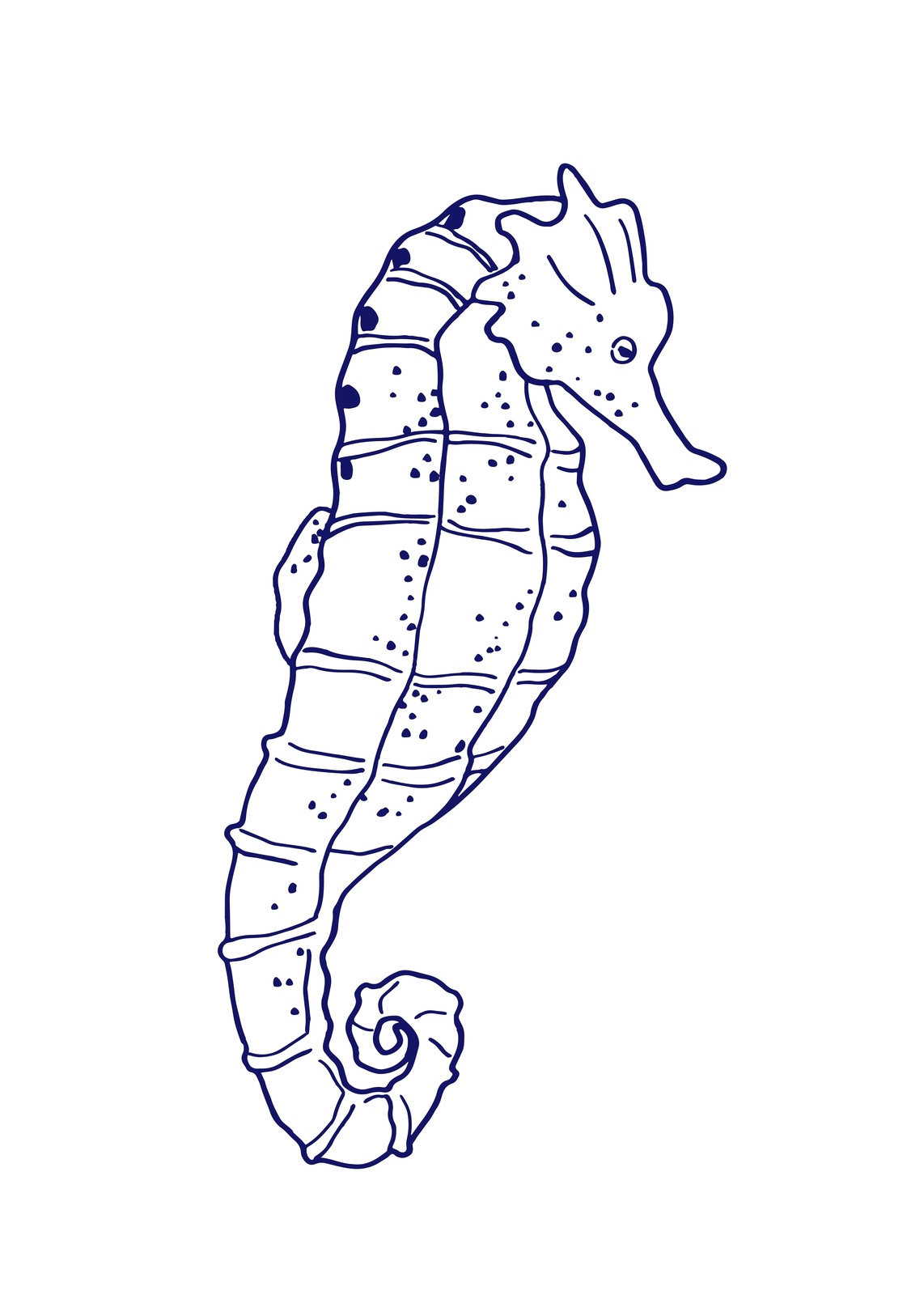 Elegant Seahorse Line Art Wall Art