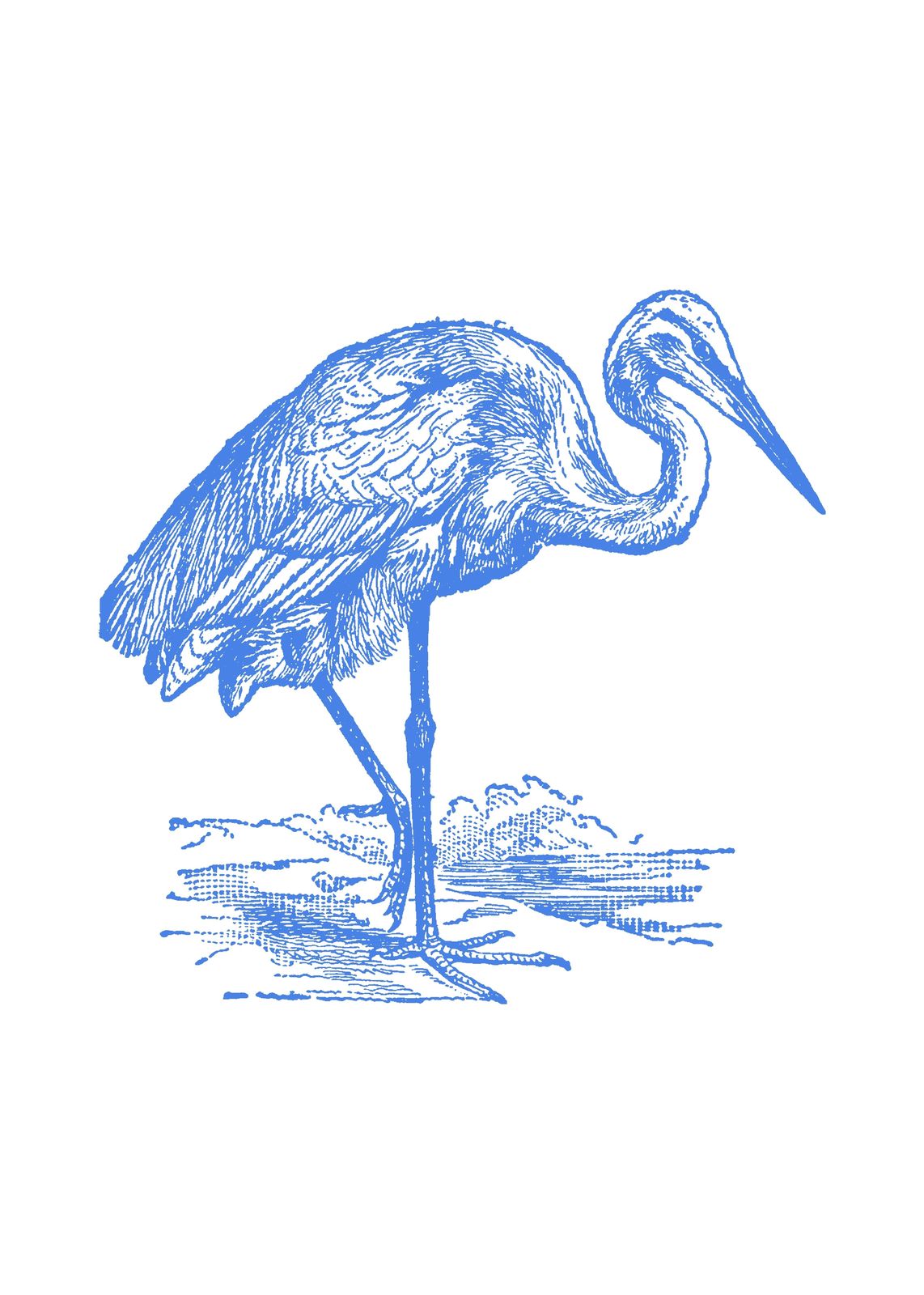 Elegant Blue Heron Vintage Sketch Wall Art