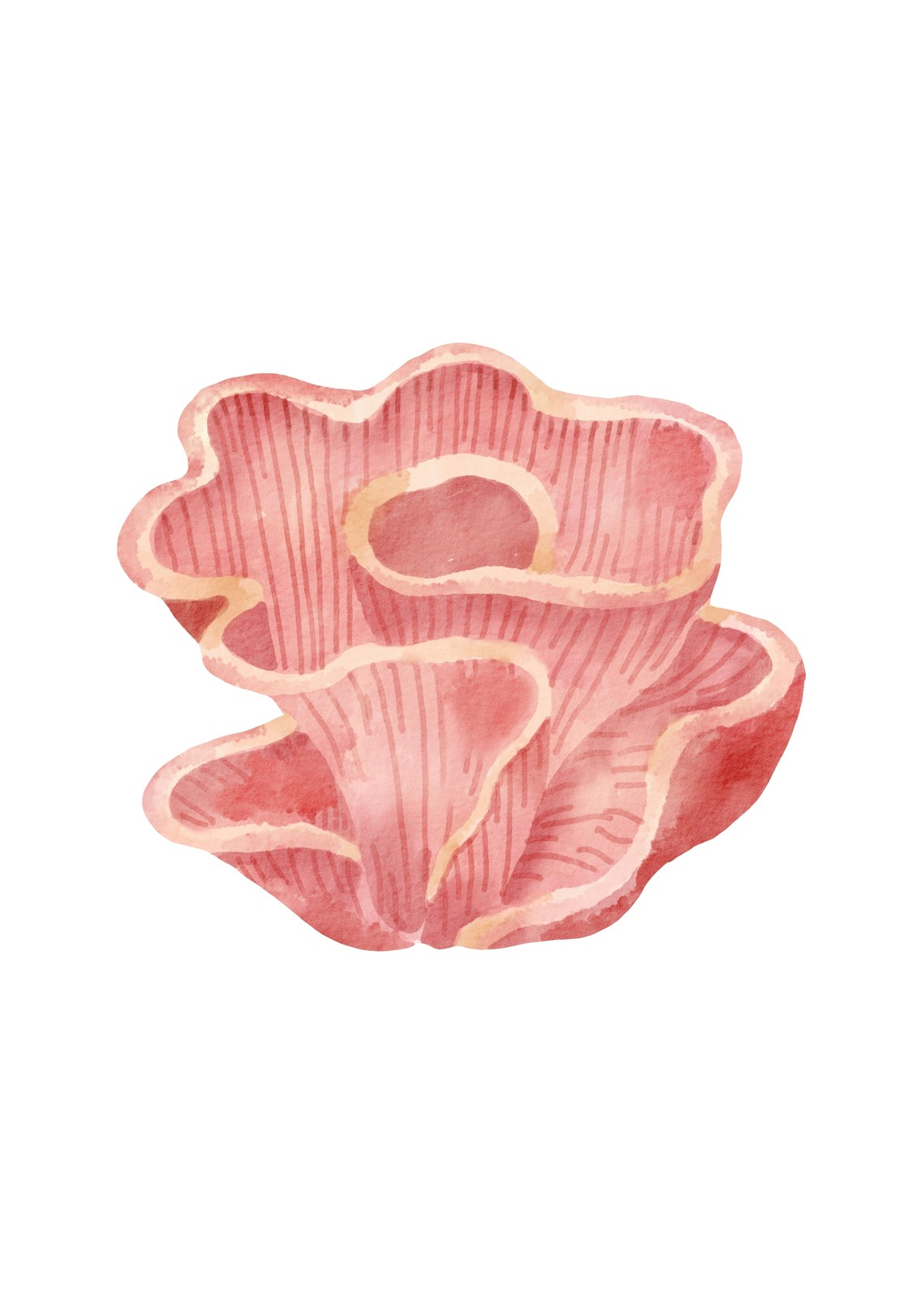 Pink Coral Watercolor Coastal Wall Art