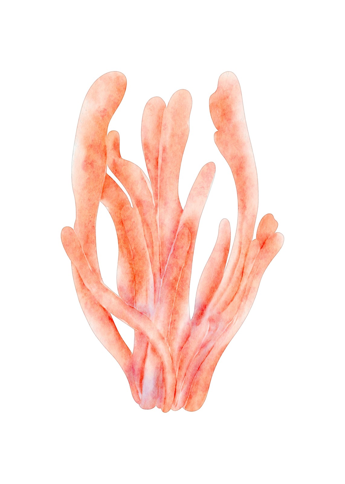 Coral Dreams Watercolor Coastal Wall Art