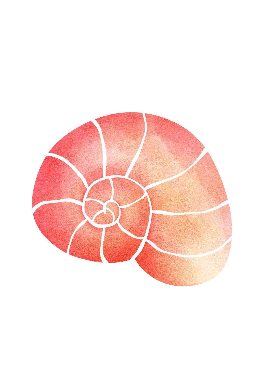 Nautical Coral Nautilus Swirl Wall Art