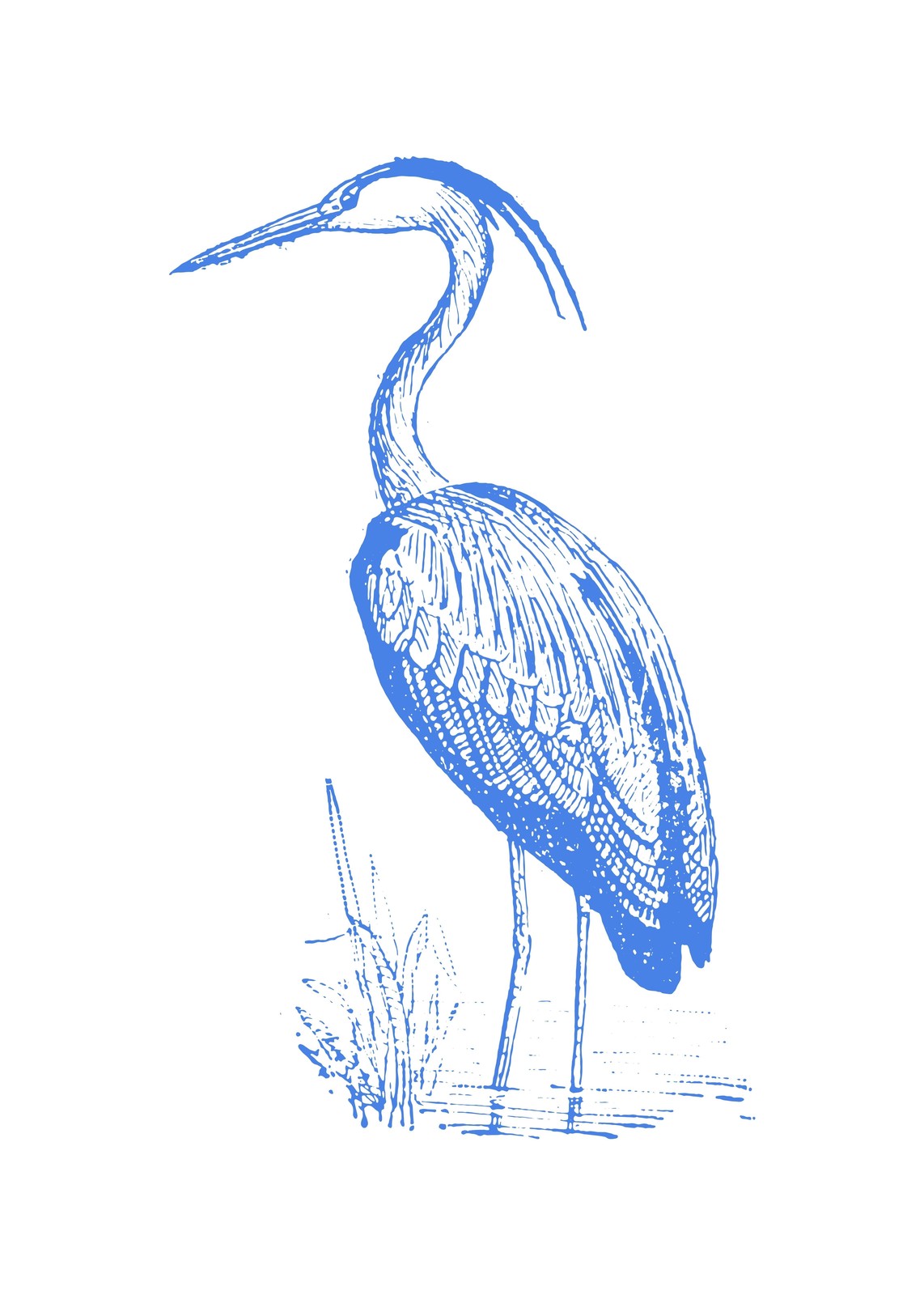 Blue Heron Sketch Vintage Bird Wall Art