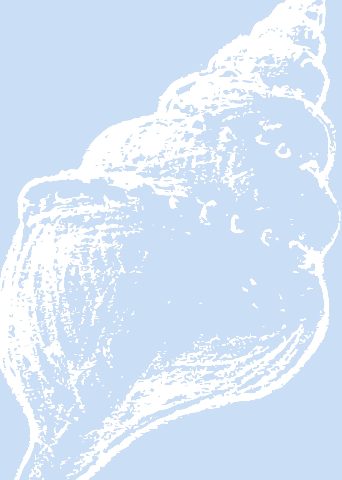 Serene Seashell Sketch Art Wall Art