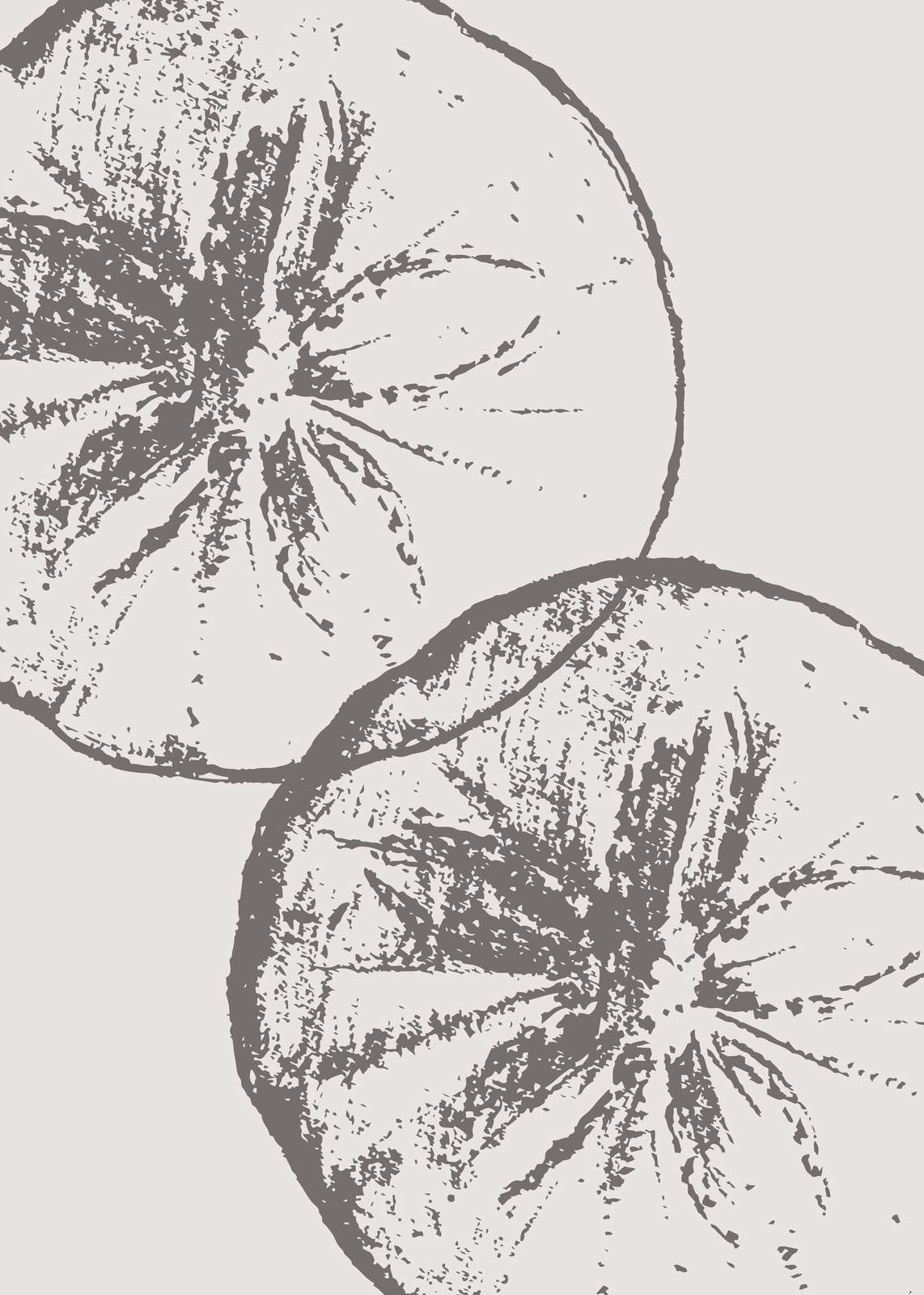 Monochromatic Citrus Slice Wall Art