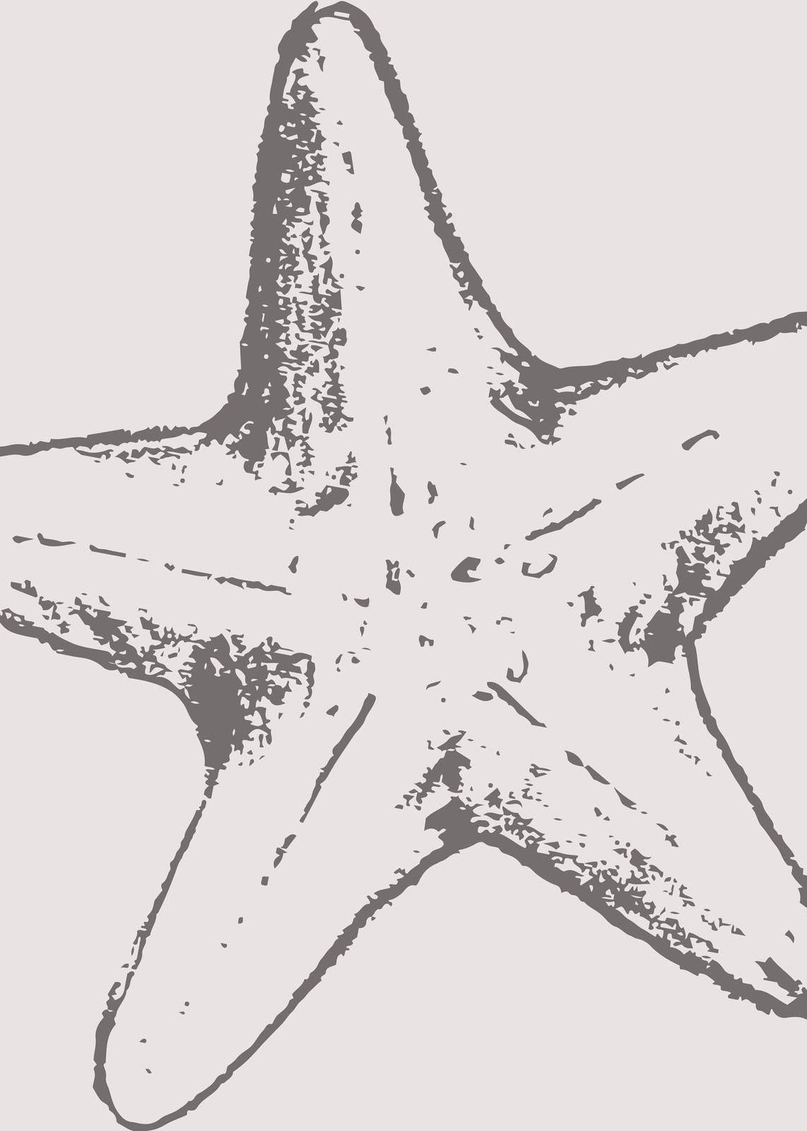 Minimalist Starfish Coastal Wall Art Wall Art