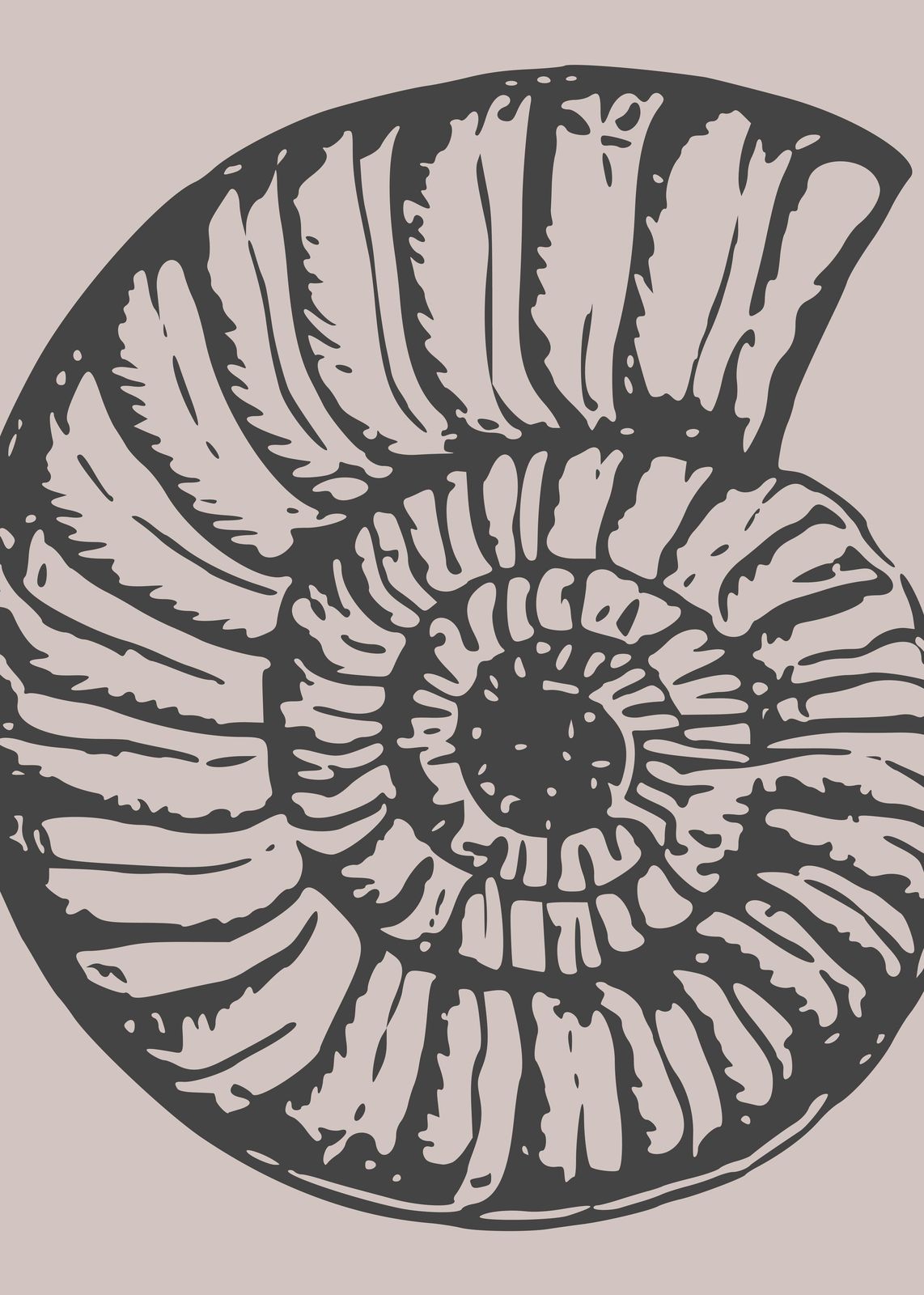 Elegant Ammonite Fossil Minimalist Wall Art
