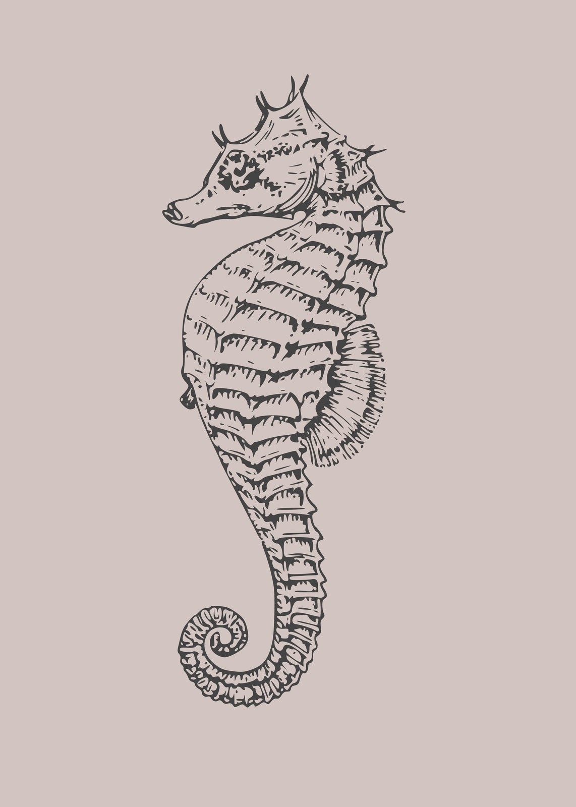 Elegant Seahorse Sketch Wall Art