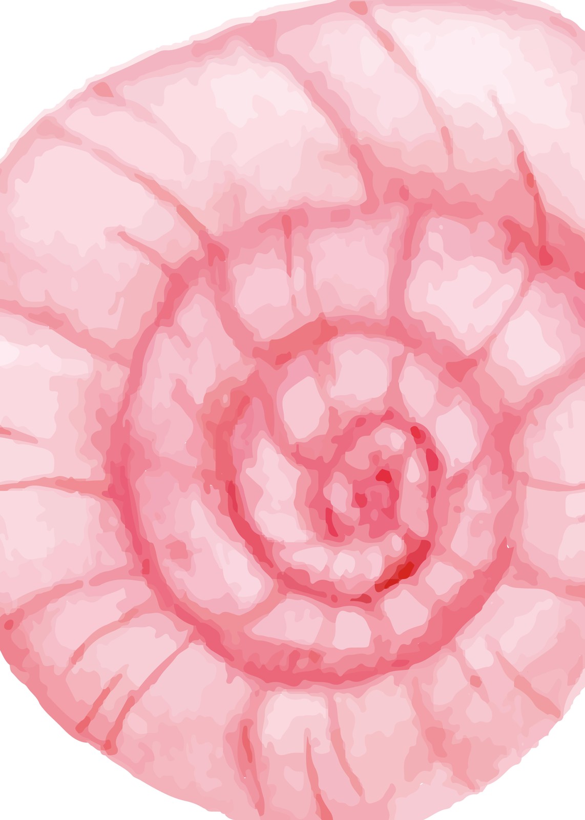 Abstract Pink Swirl Watercolor Wall Art