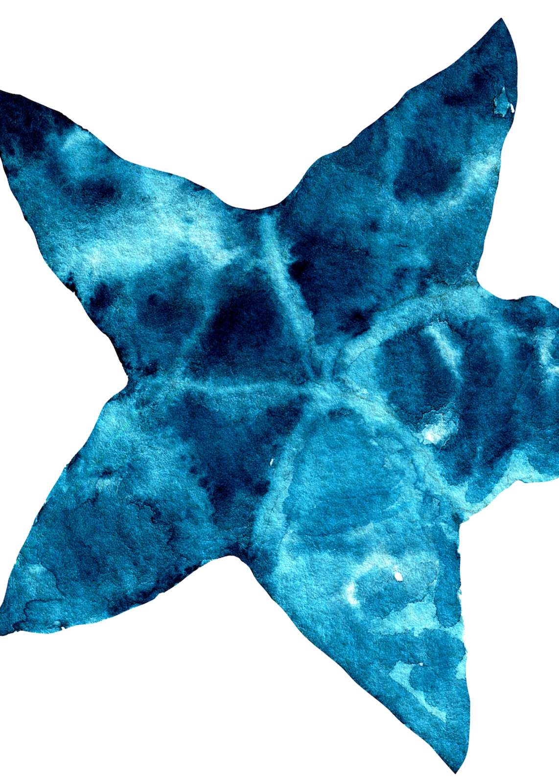 Ocean Swirl Starfish Watercolor Wall Art