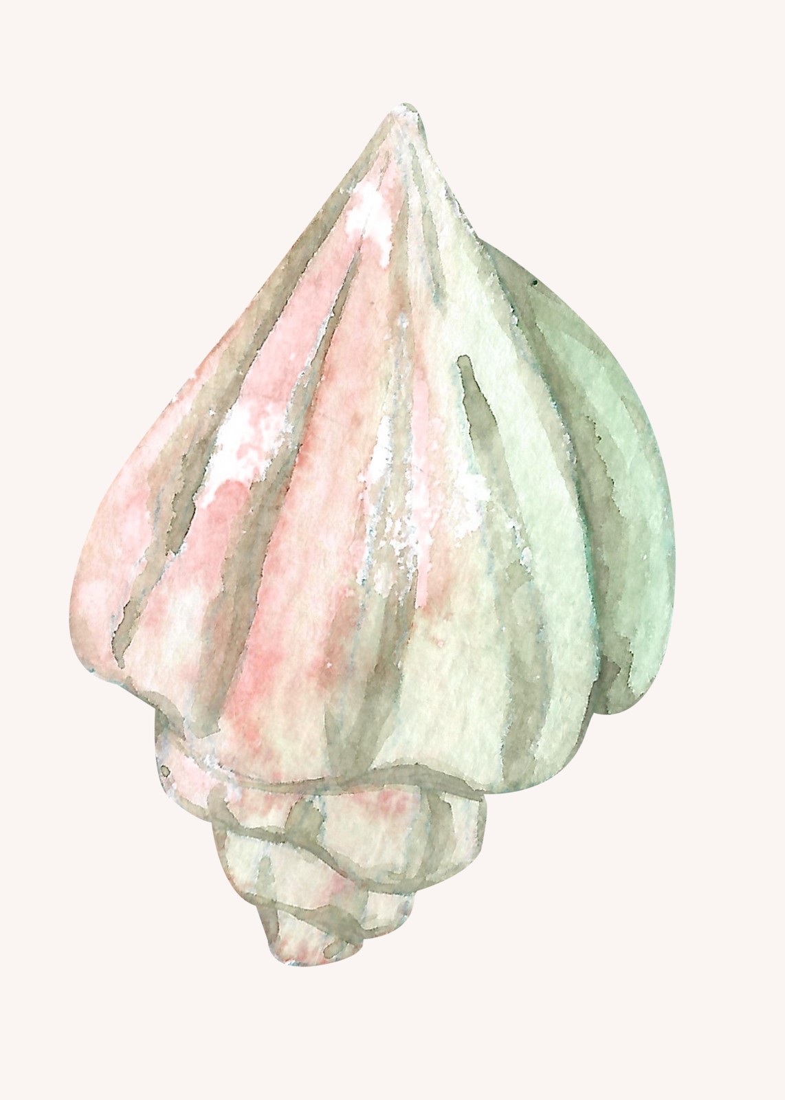Elegant Seashell Watercolor Wall Art