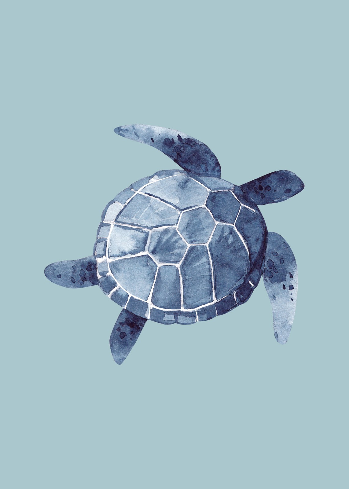 Serene Blue Turtle Watercolor Wall Art