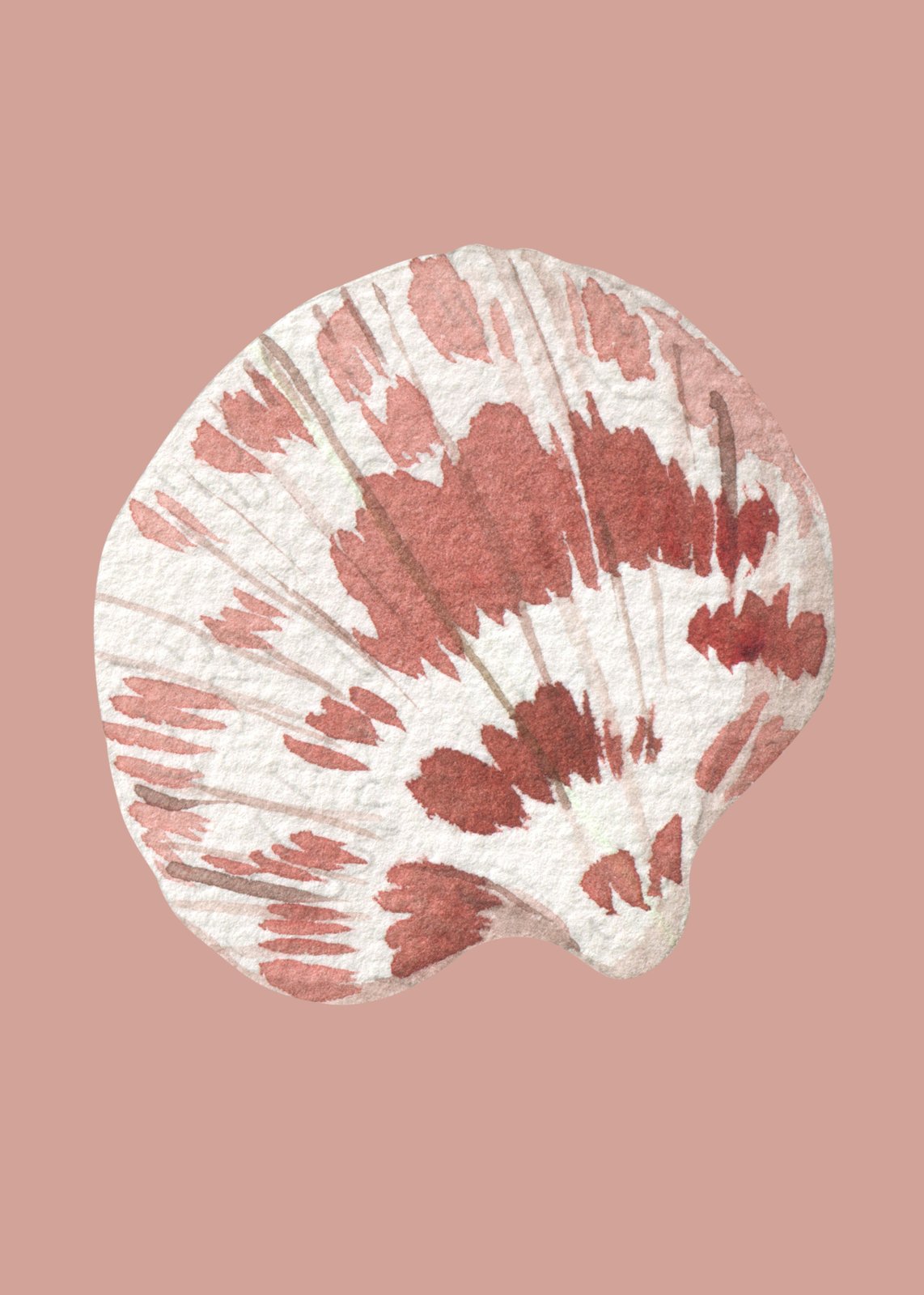 Terracotta Seashell Watercolor Wall Art