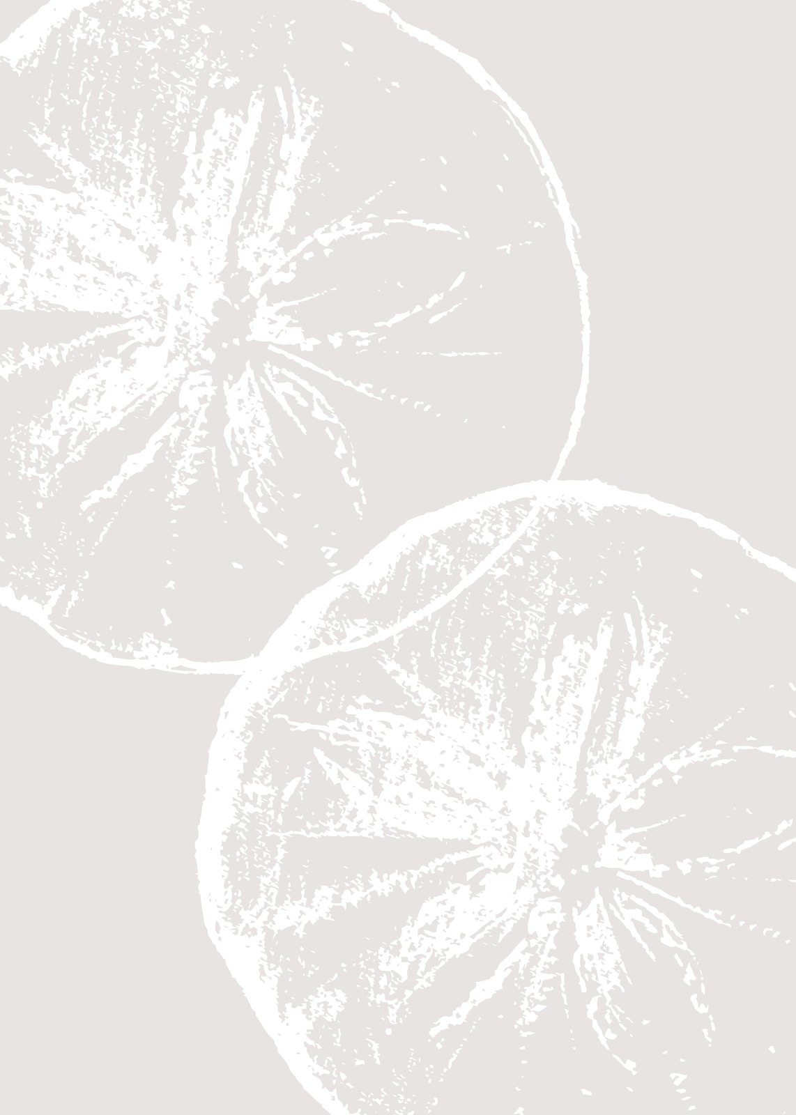 Minimalist Citrus Slices Wall Art