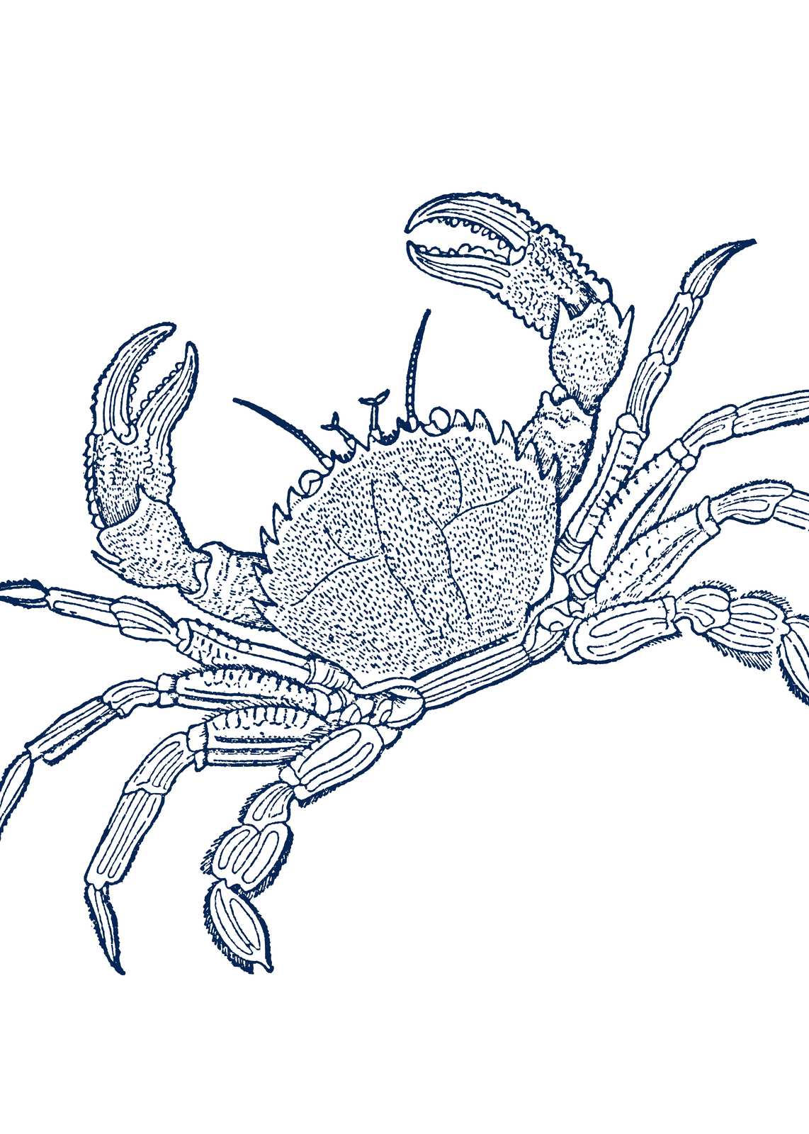 Elegant Blue Crab Nautical Art Wall Art