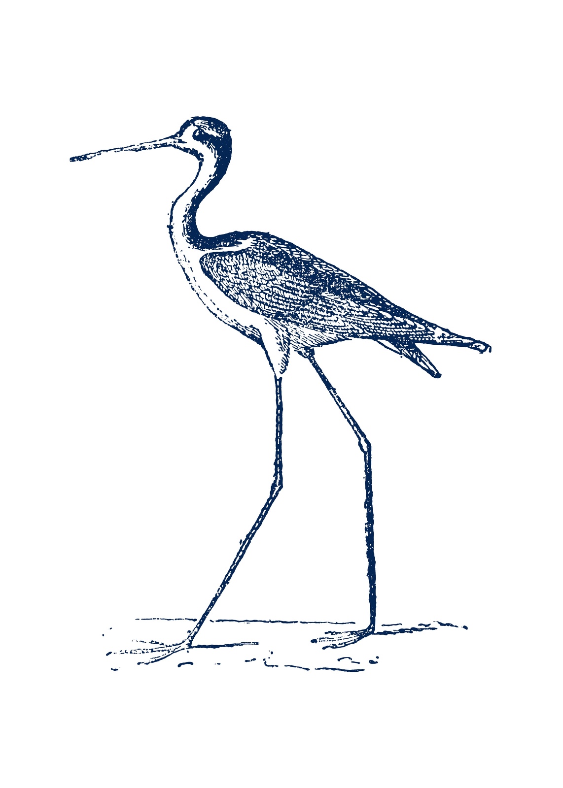 Elegant Stilt Bird Blue Ink Art Wall Art