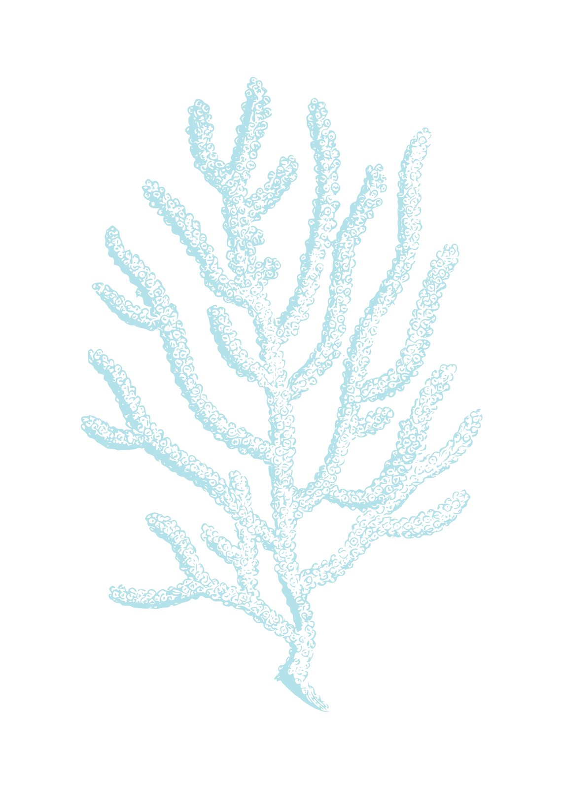 Serene Blue Coral Branch Wall Art