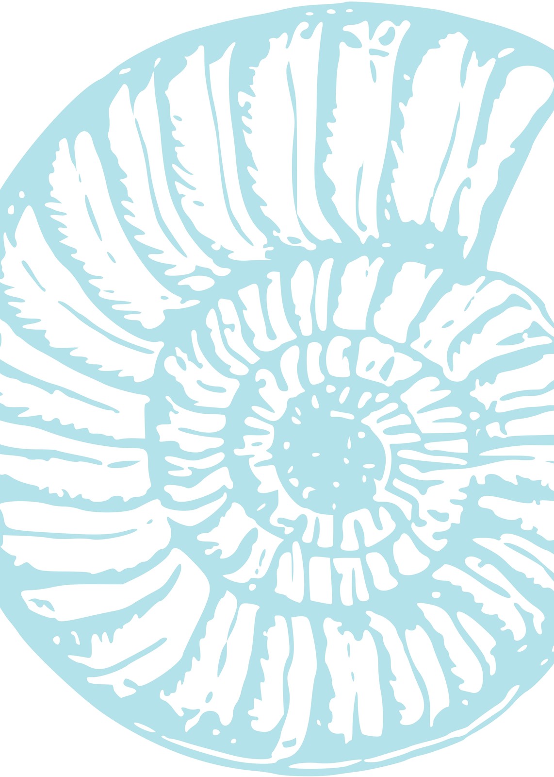Nautical Ammonite Fossil Wall Art - Coastal Decor