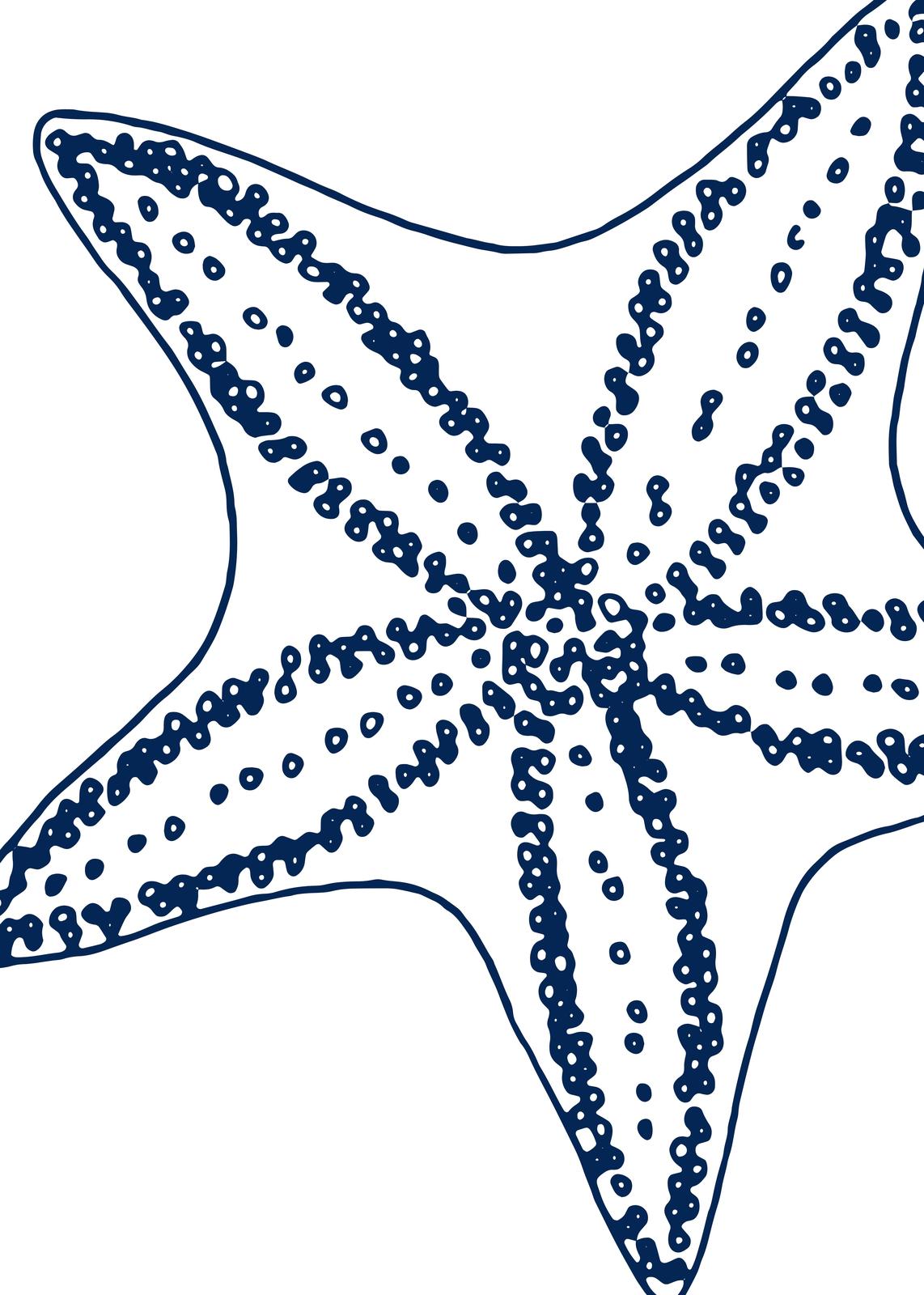 Navy Starfish Coastal Art Wall Art