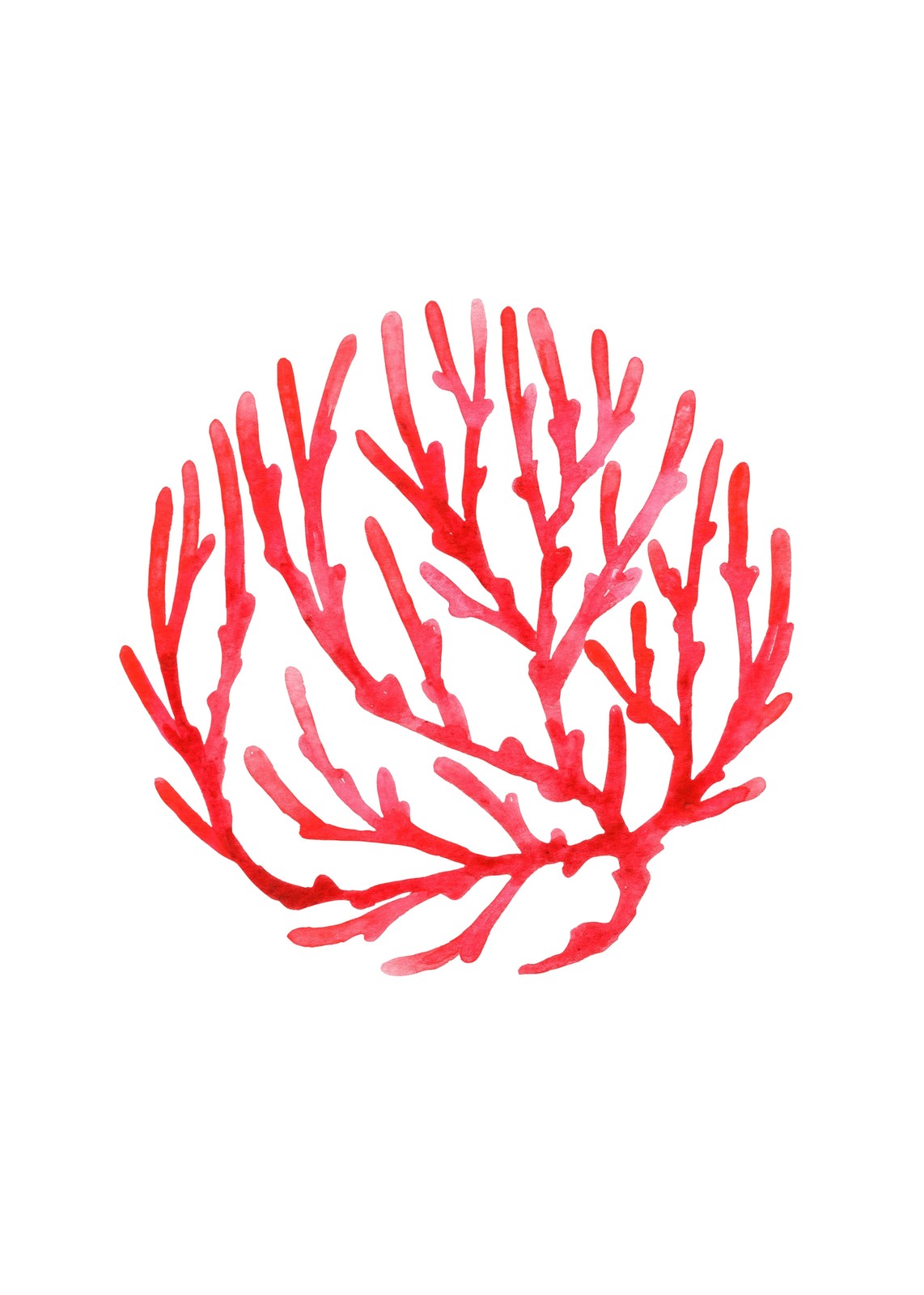 Vibrant Red Coral Watercolor Wall Art
