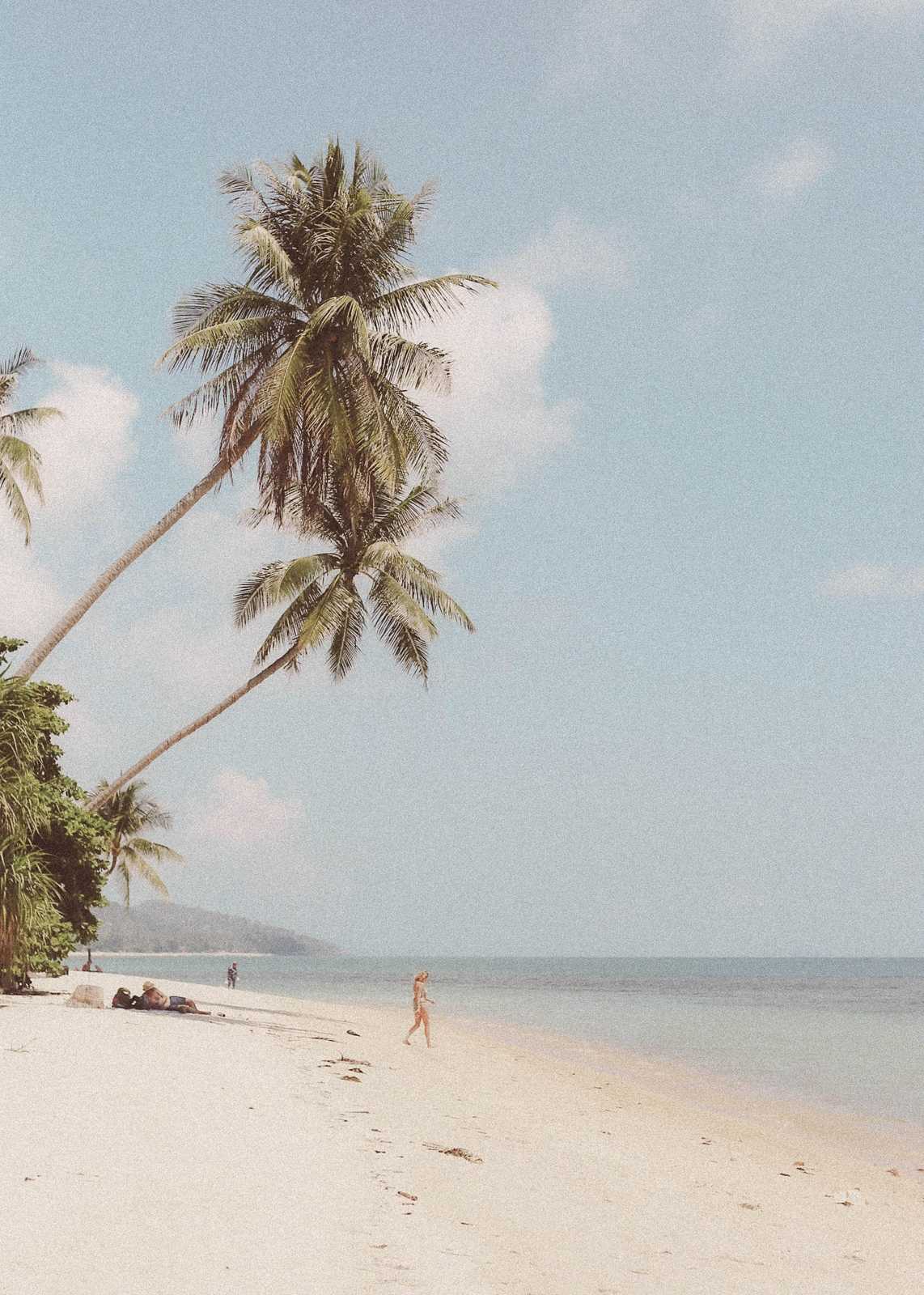 Serene Palm Paradise Beach Wall Art