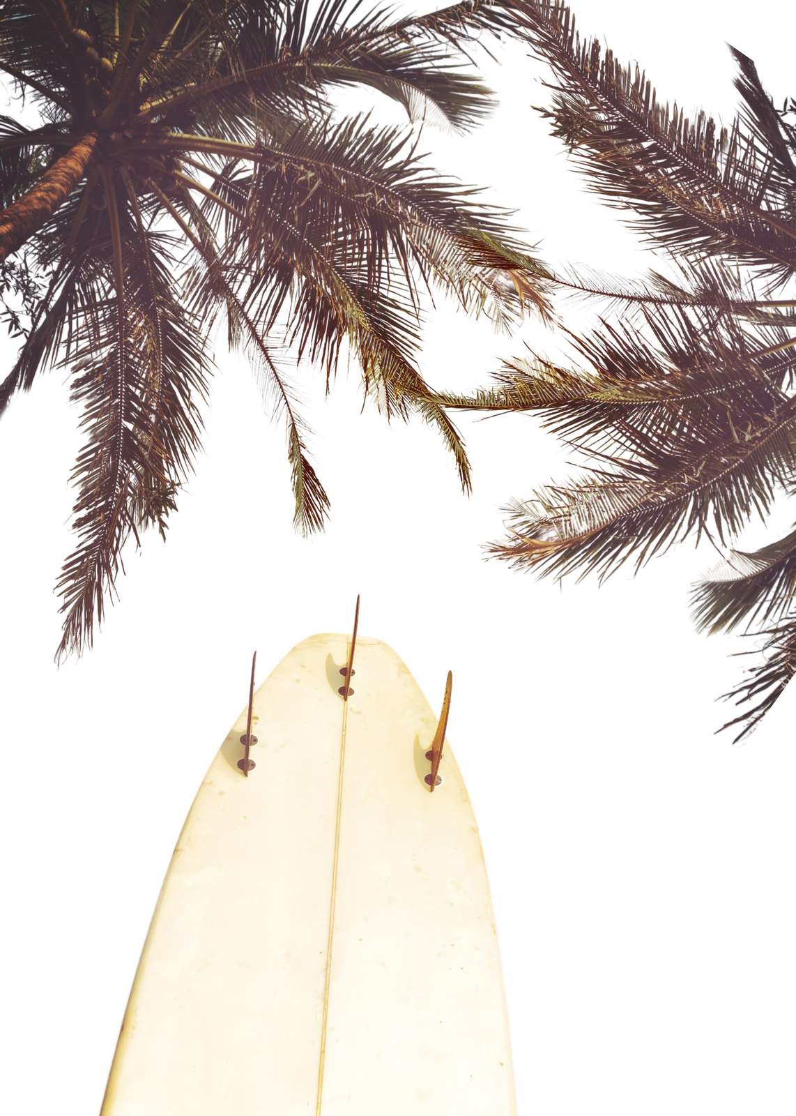 Retro Surfboard & Palm Tree Wall Art