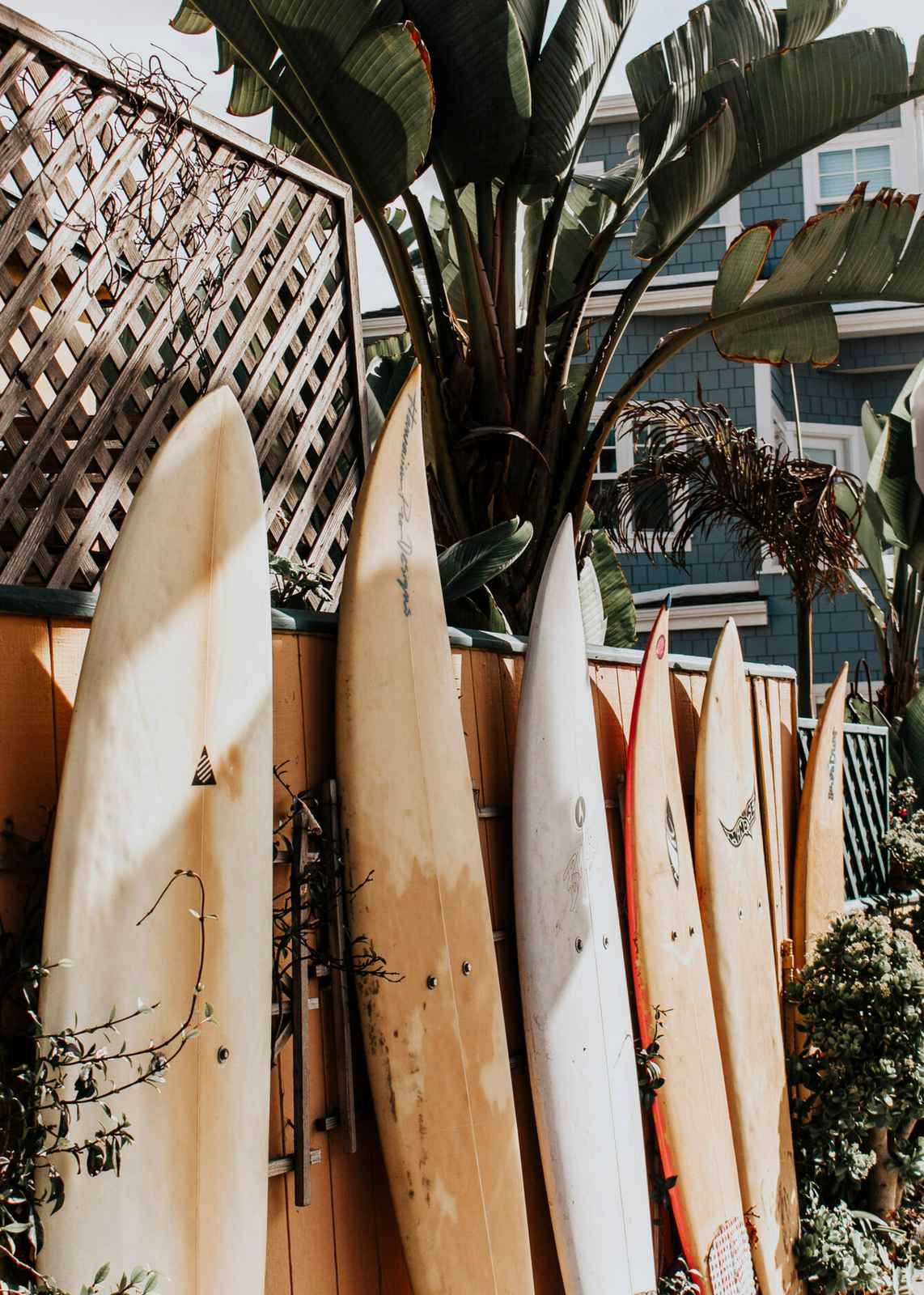 Vintage Surfboard Lineup Wall Art
